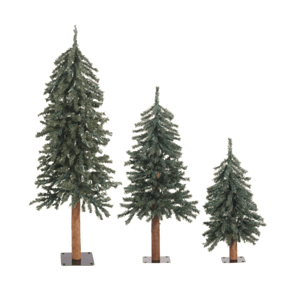 SMALL PINE TREES