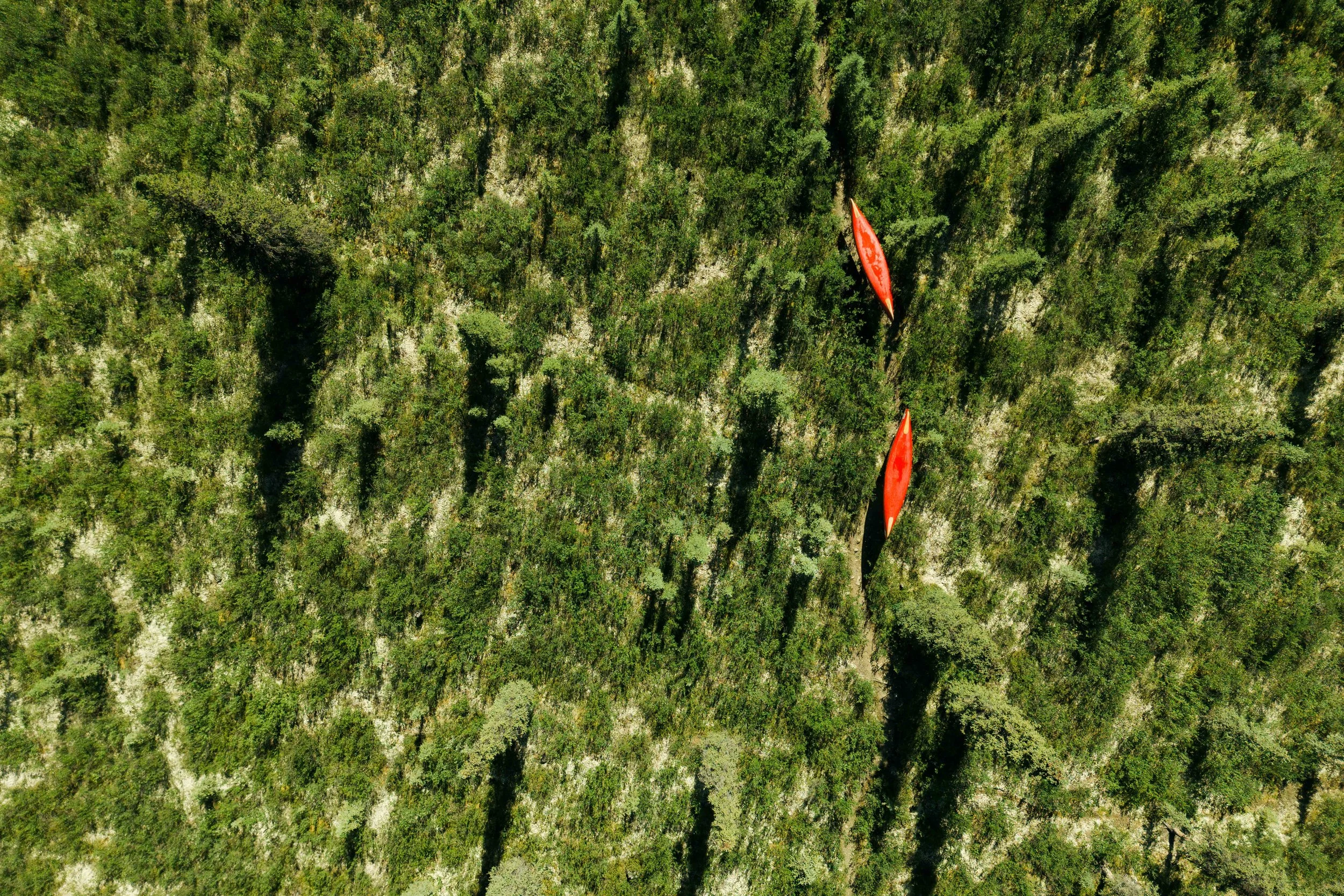 DJI_20250101103144_0042_D.jpg
