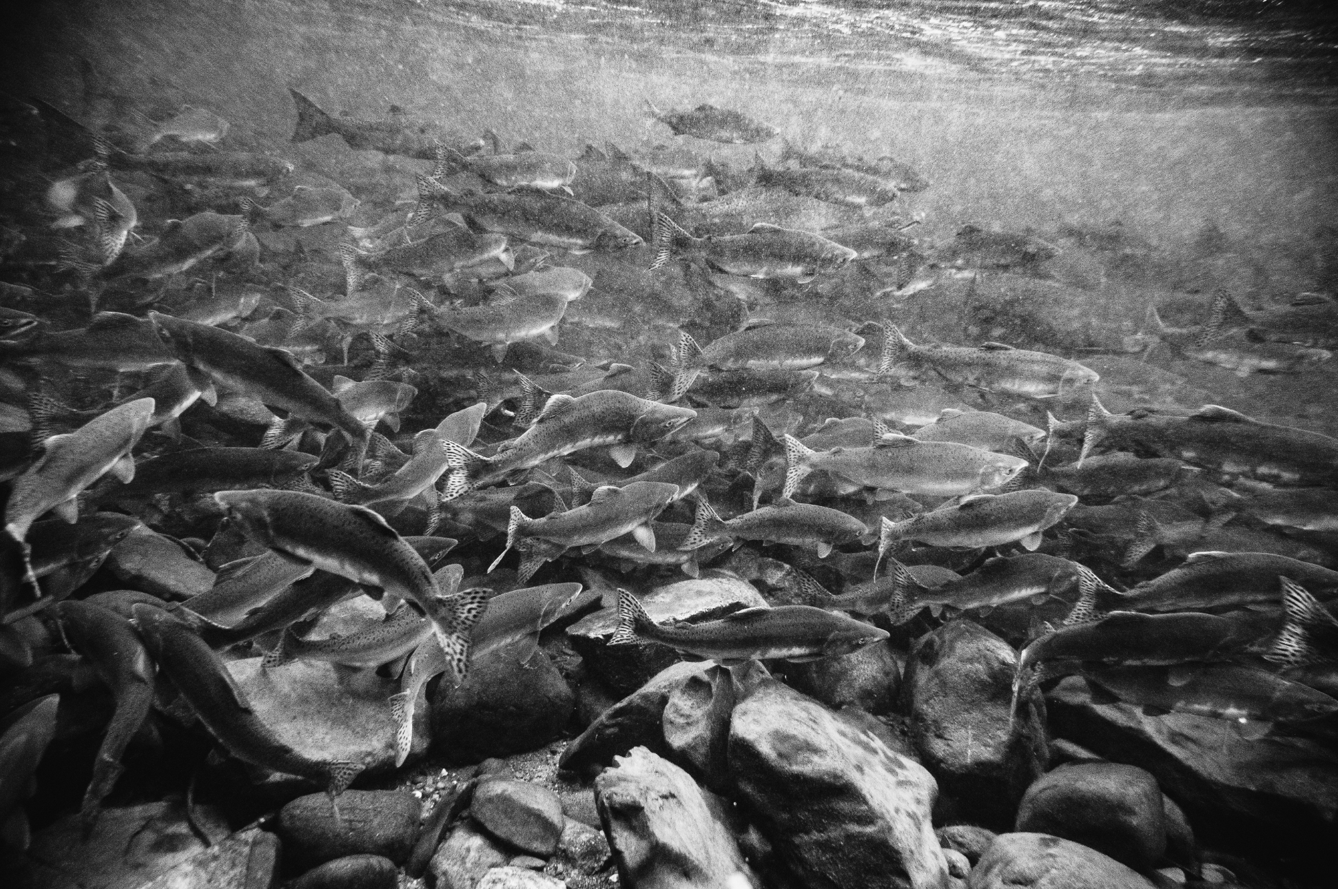 Screen Shot 2025-11-18 at 1.50.11 PM.png