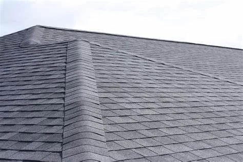Shingle roof.jpeg