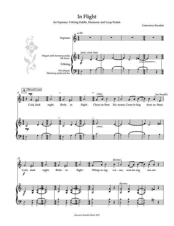 In Flight - for Soprano, Electric 5-String, Harmony and Loop Pedals (2023)