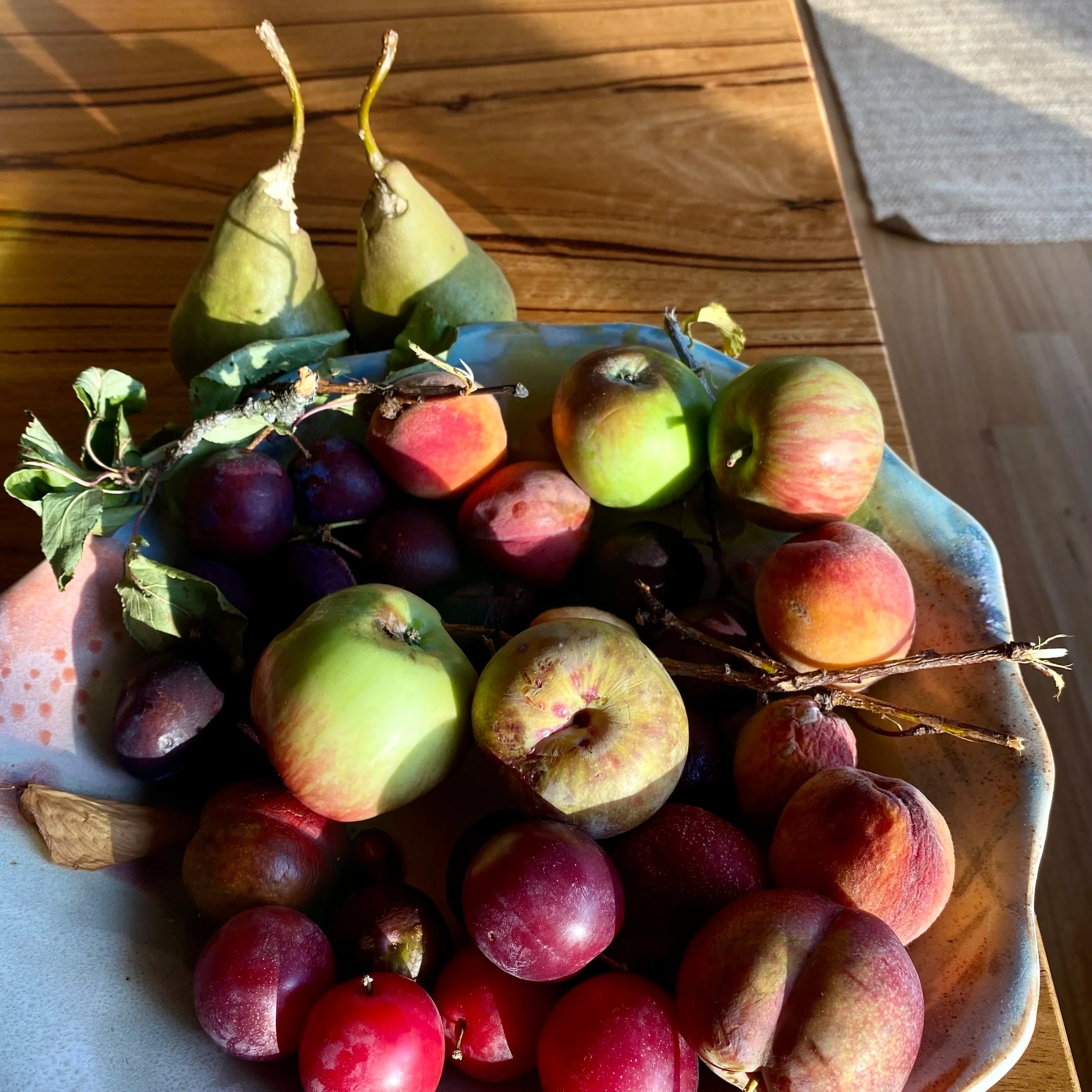 Immunity gummies recipe