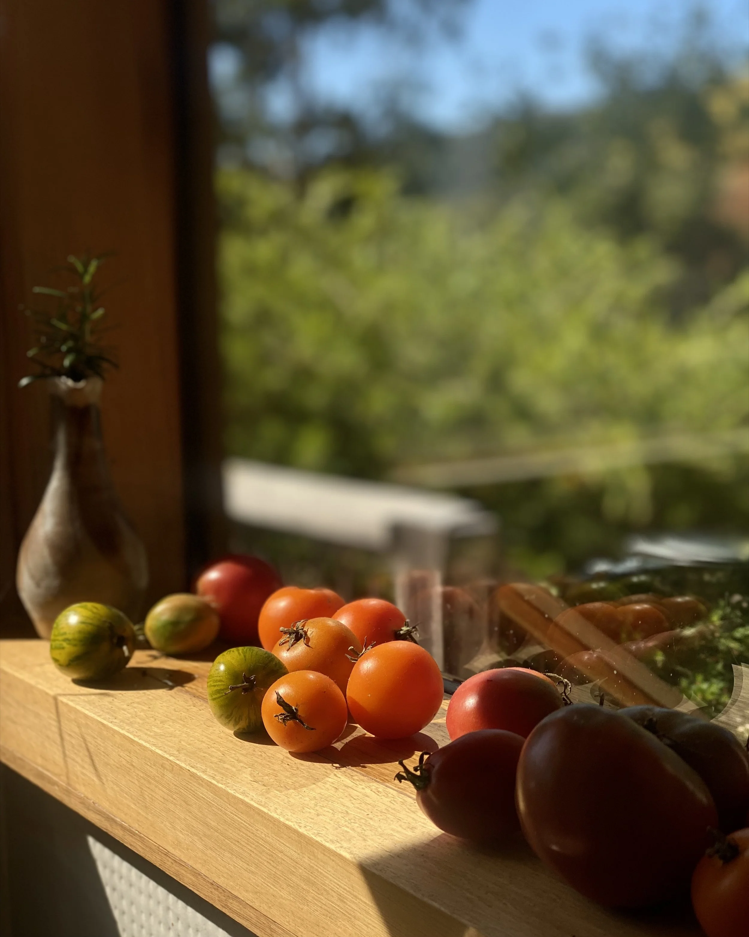 On frugality, freezers and foraged fruit