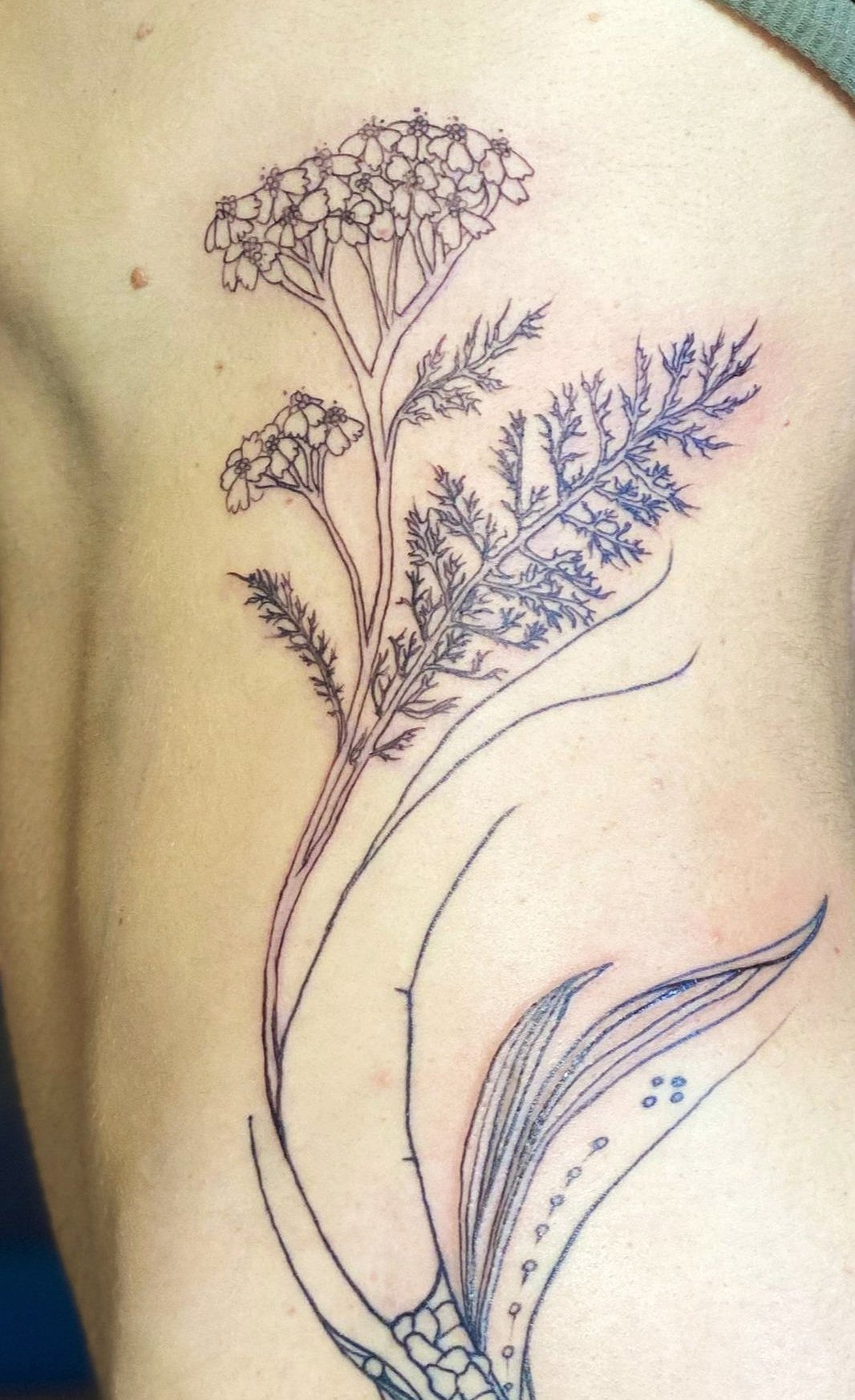 Lavender  Eucalyptus done by Duygu Topçu at Dark Ocean Tattoo Vancouver  BC  rtattoos