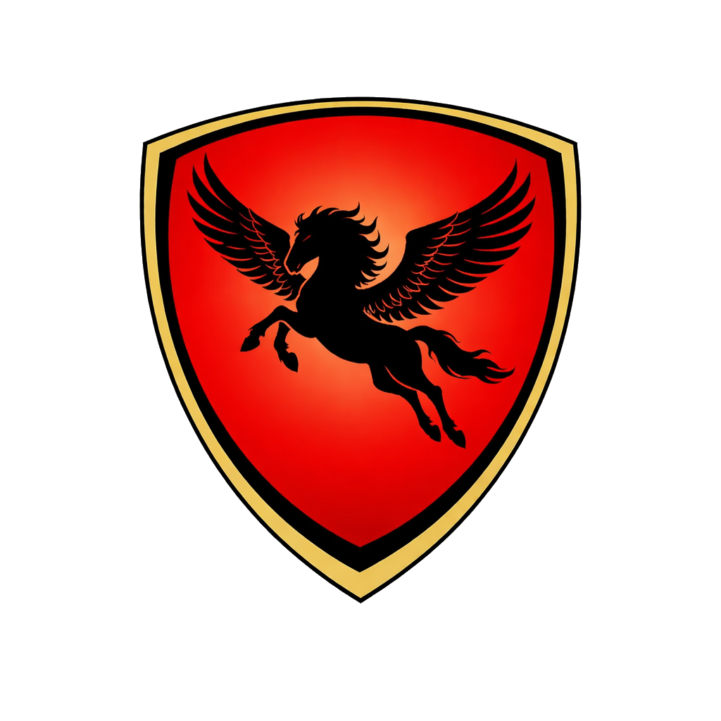 edredas Porsche 944 racing