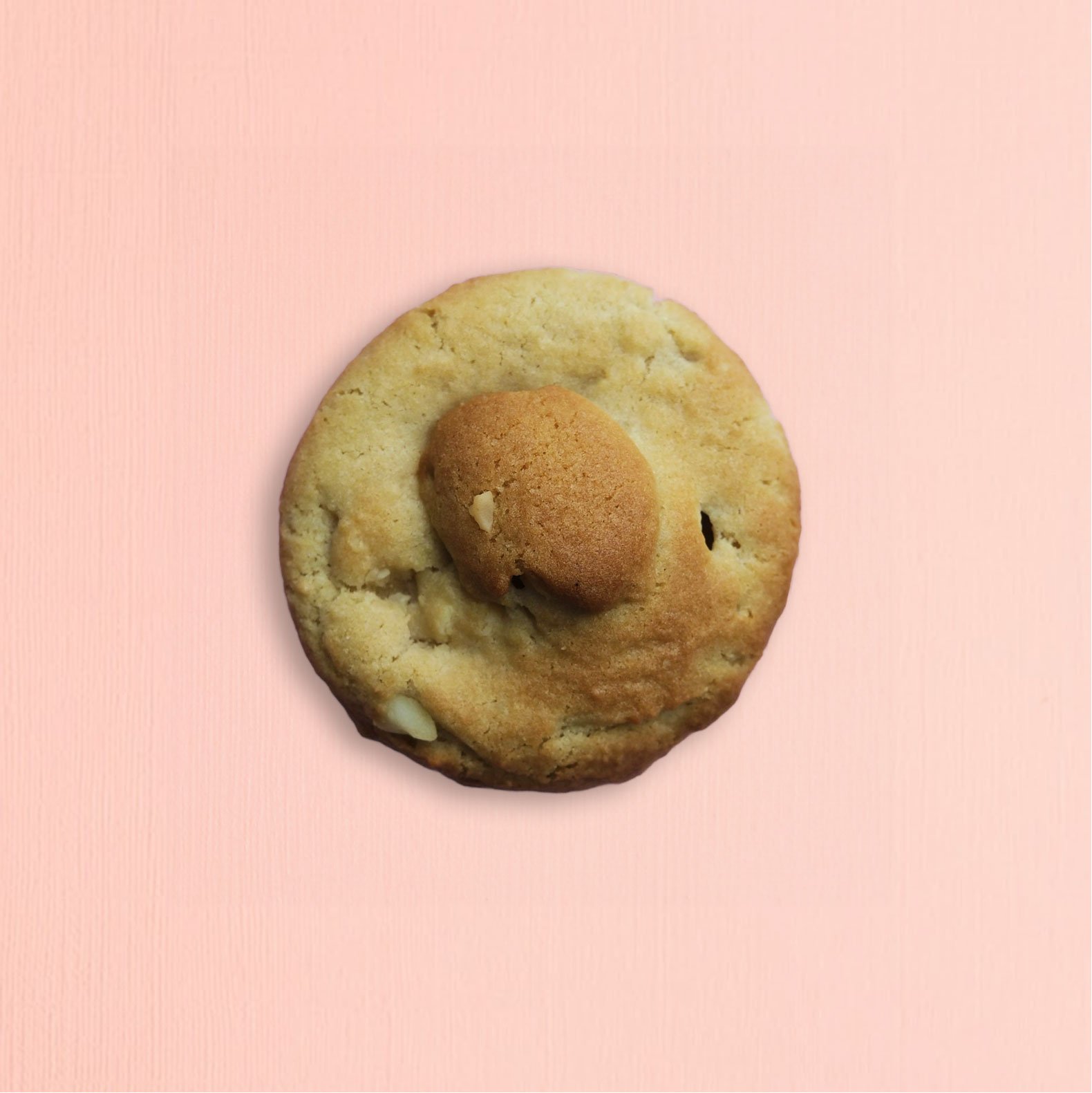 Macadamia-white-chocolate-small.jpg