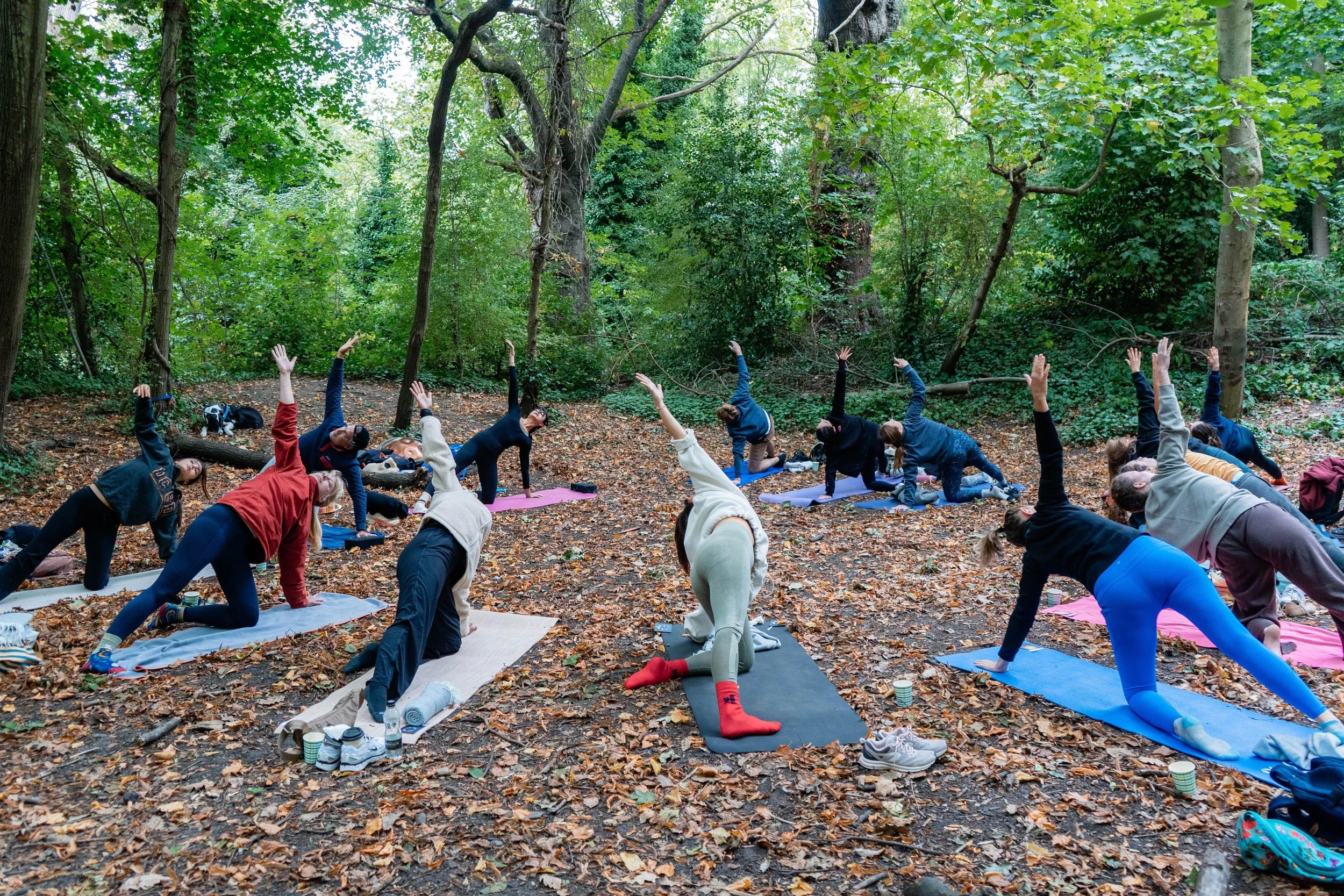 Spring Nature Immersion