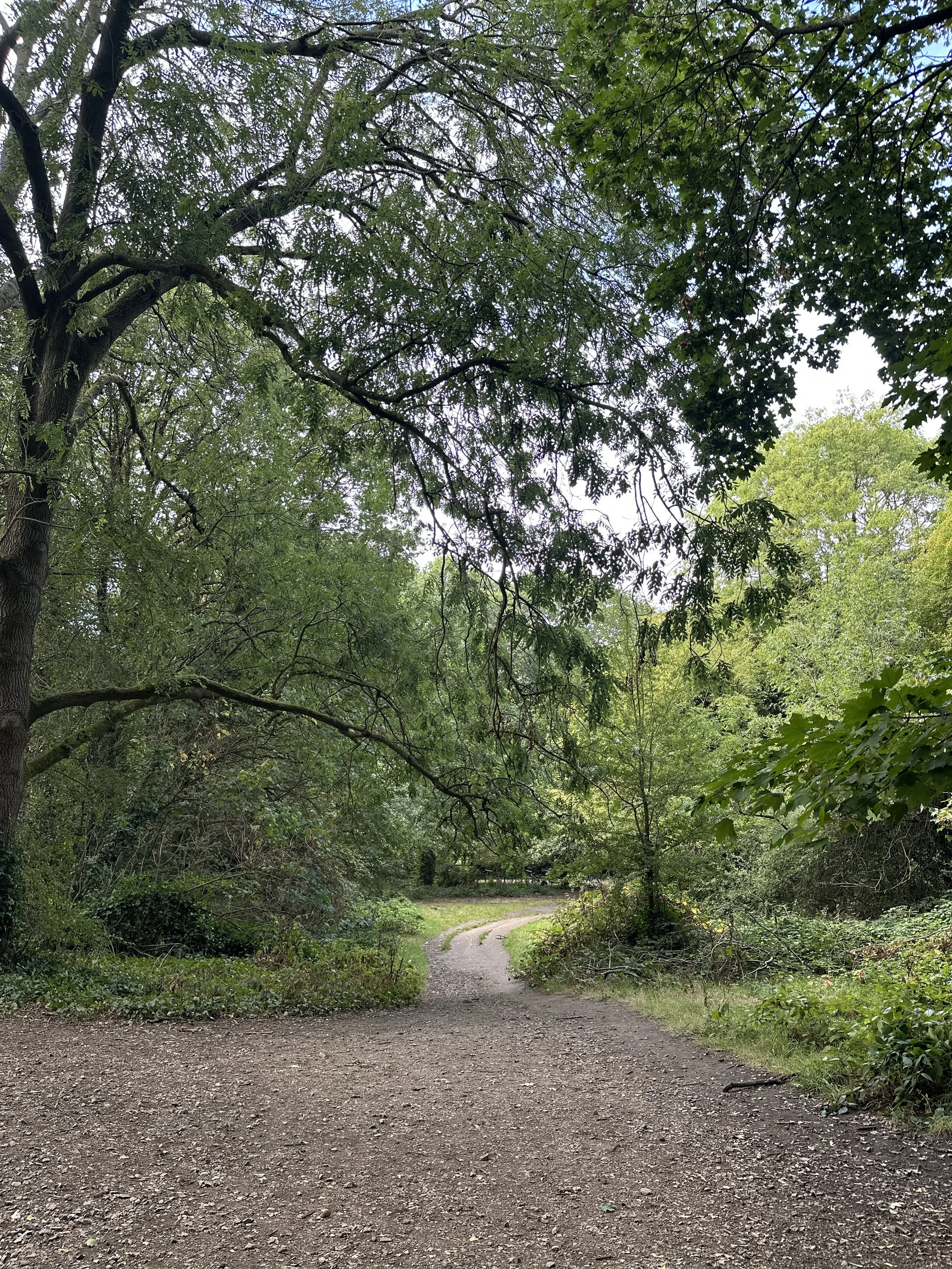 Fall Sound and Nature Immersion ‘26
