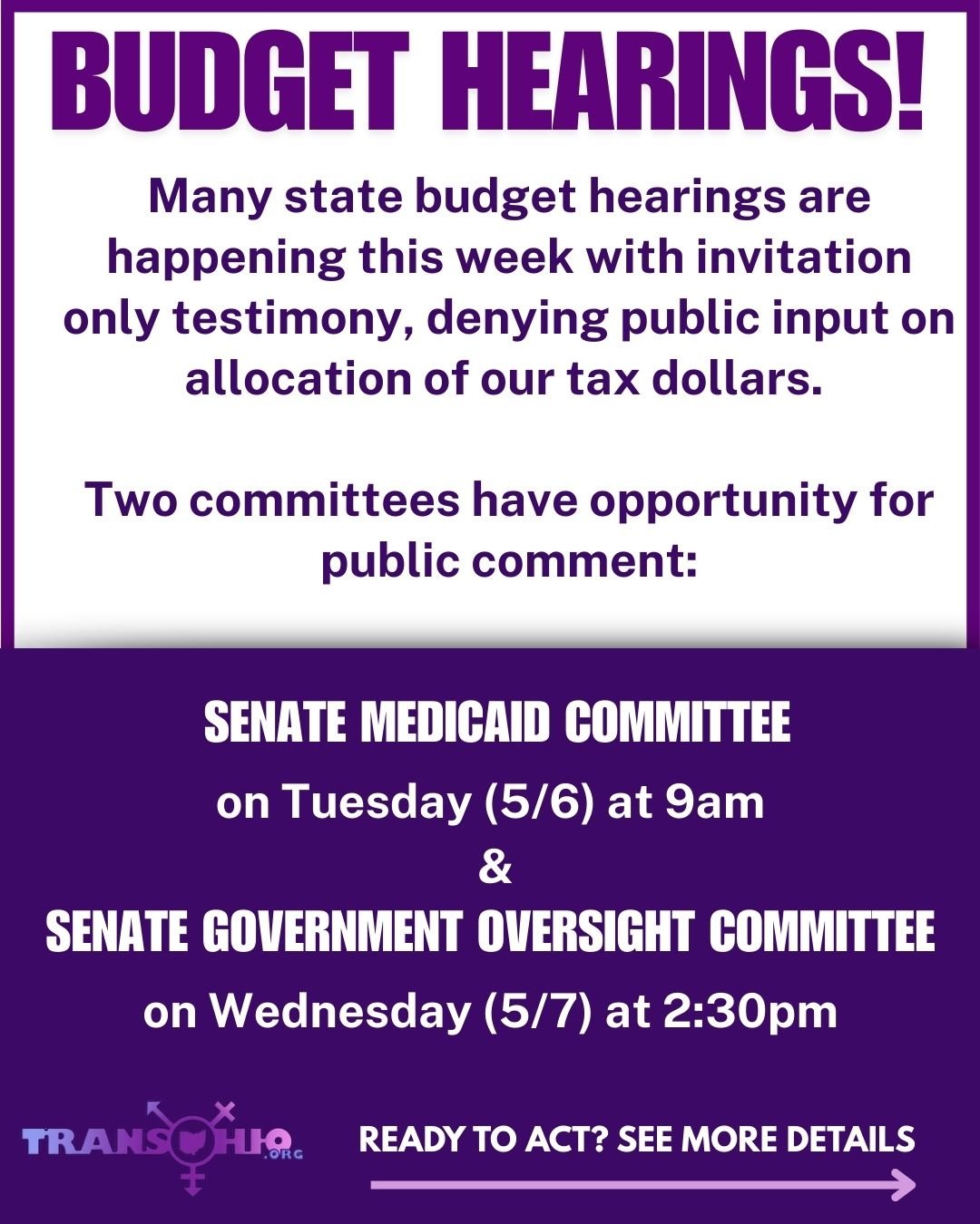 BUDGET HEARING 1.jpg