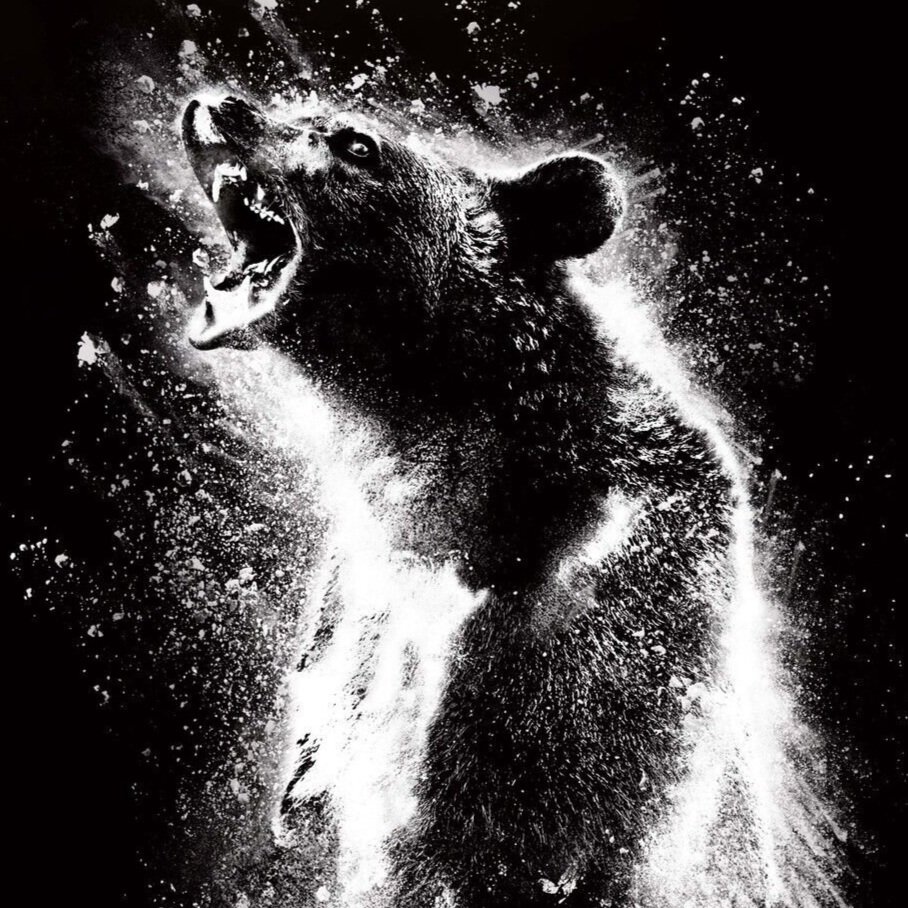 “Cocaine Bear” marks its territory with a $23M opening weekend