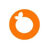 Orange circle with a leaf-like design