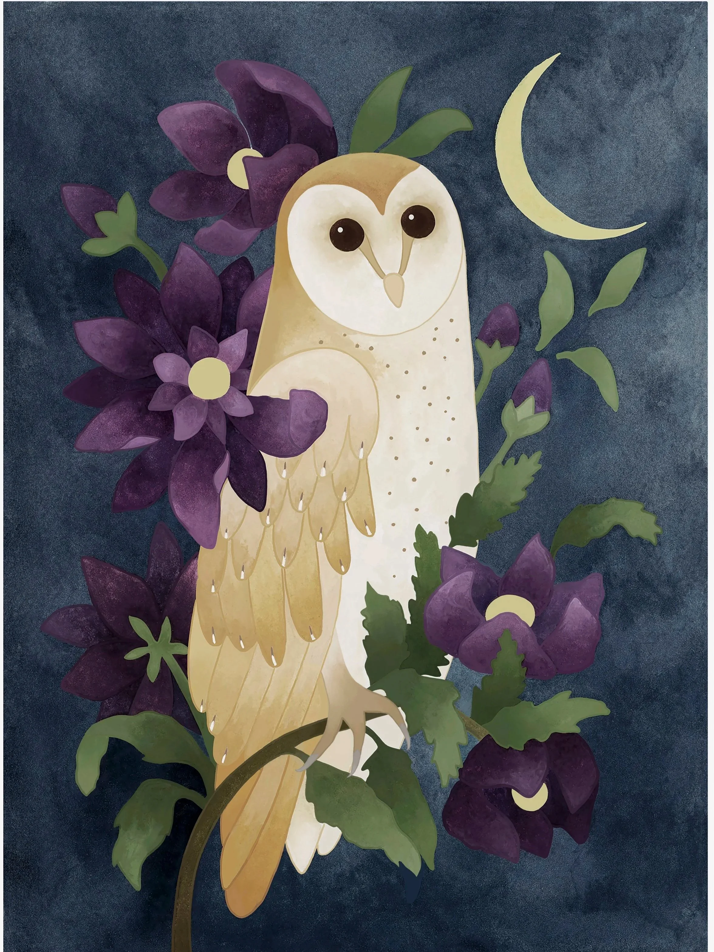 crescent+owl+april+7.jpg
