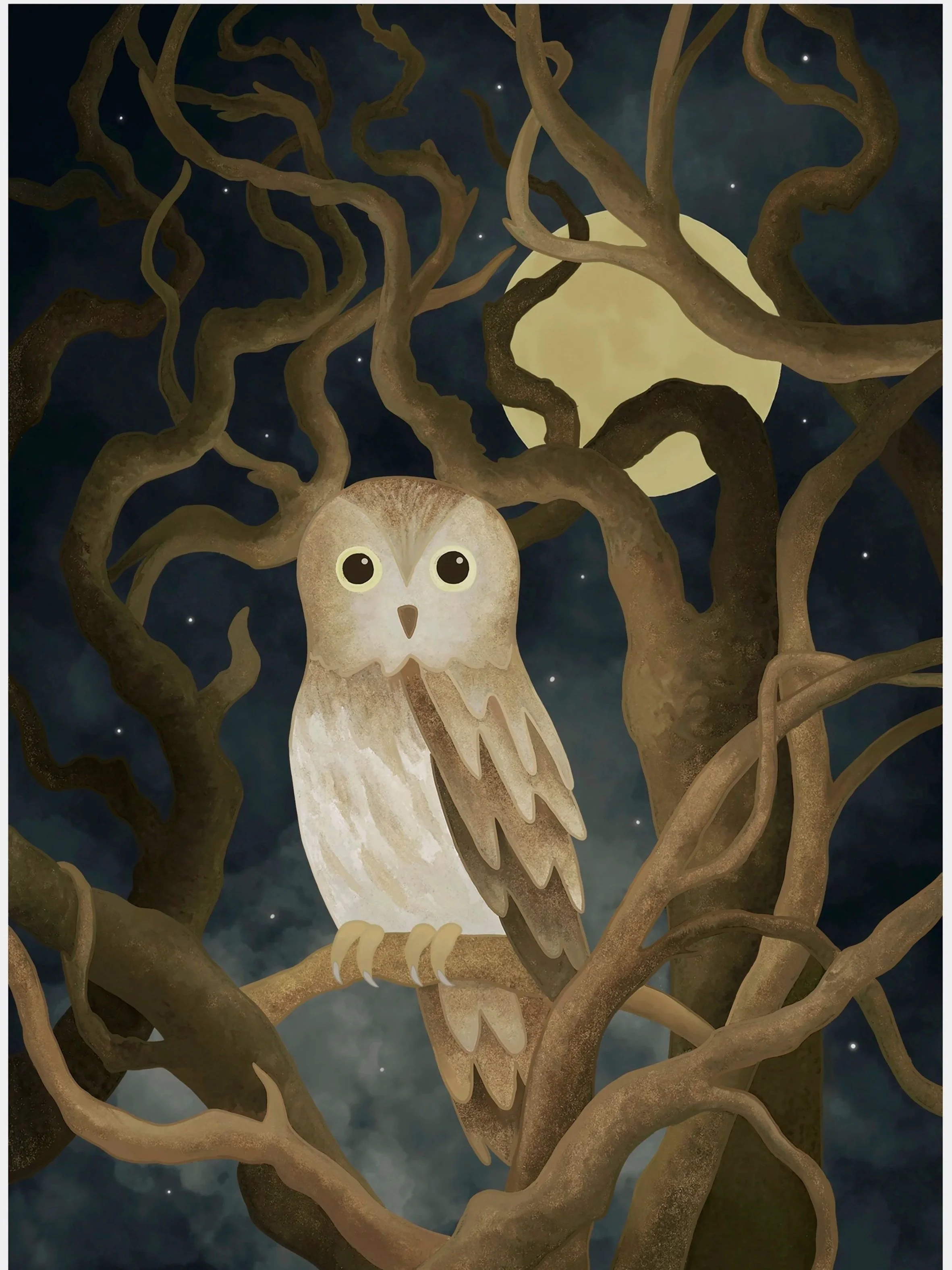 jpg+owl.jpg