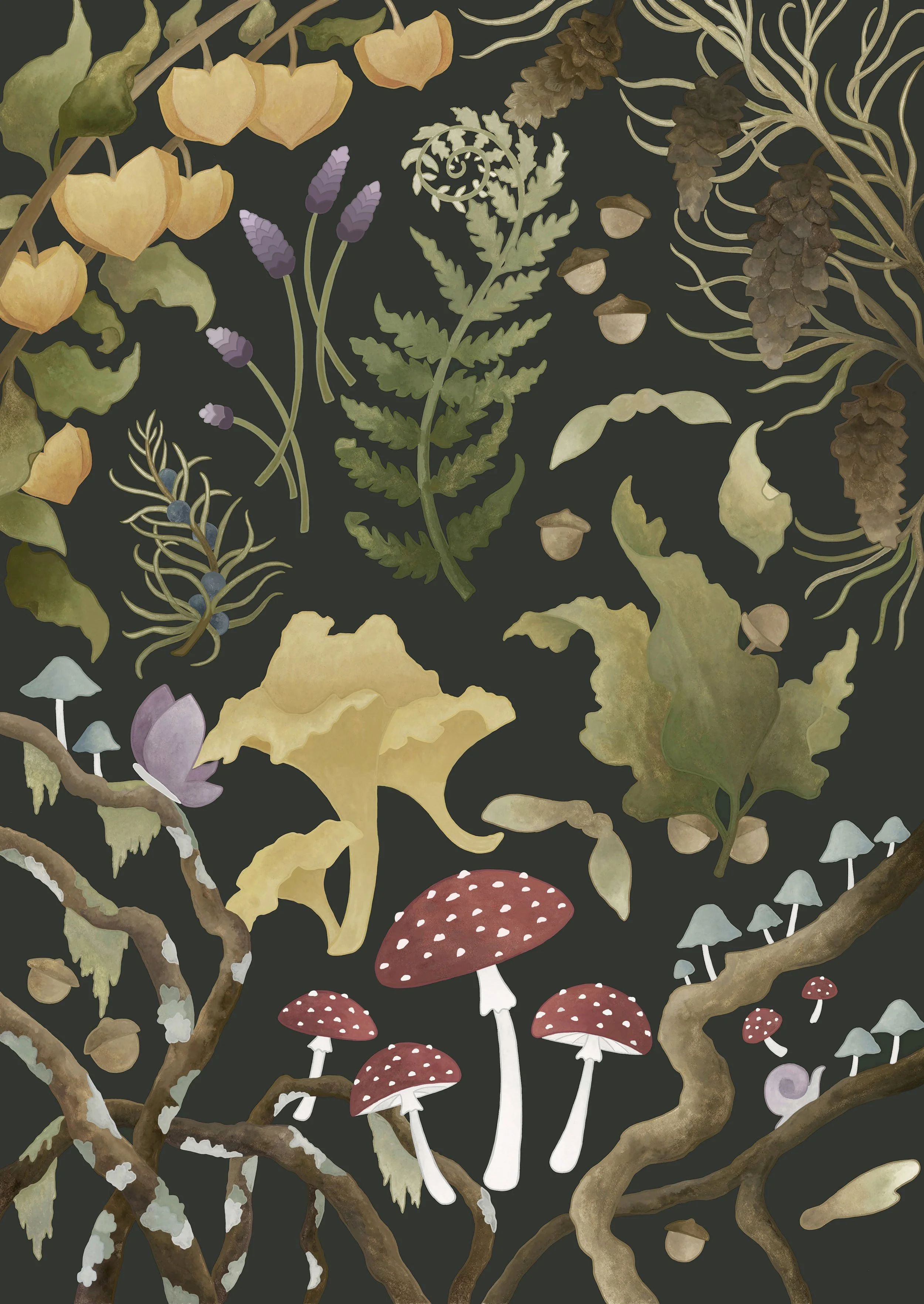 Illustration of various forest elements including mushrooms, ferns, leaves, mushrooms, and tree branches on a dark background.