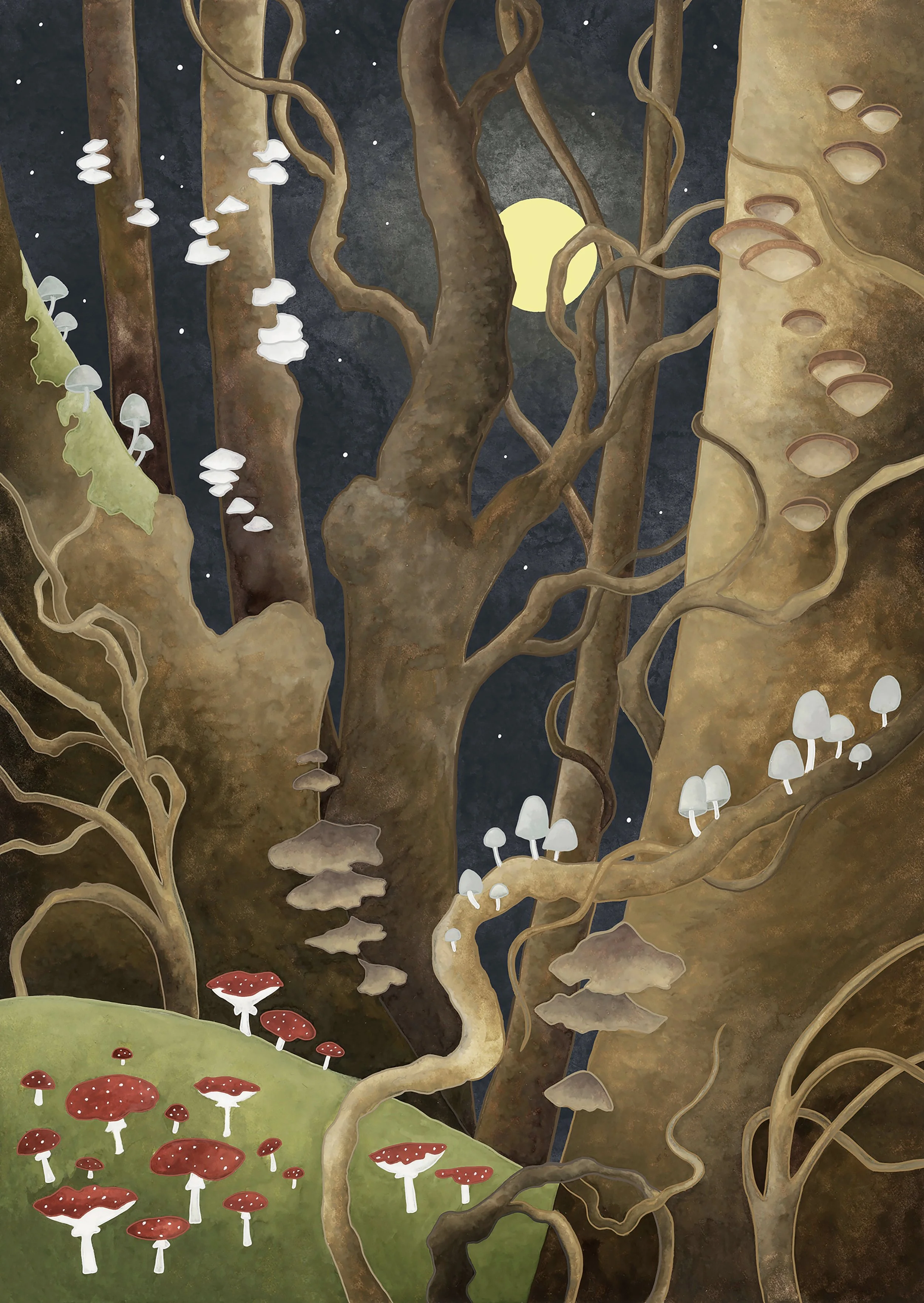 enchanted woods 2026.jpg