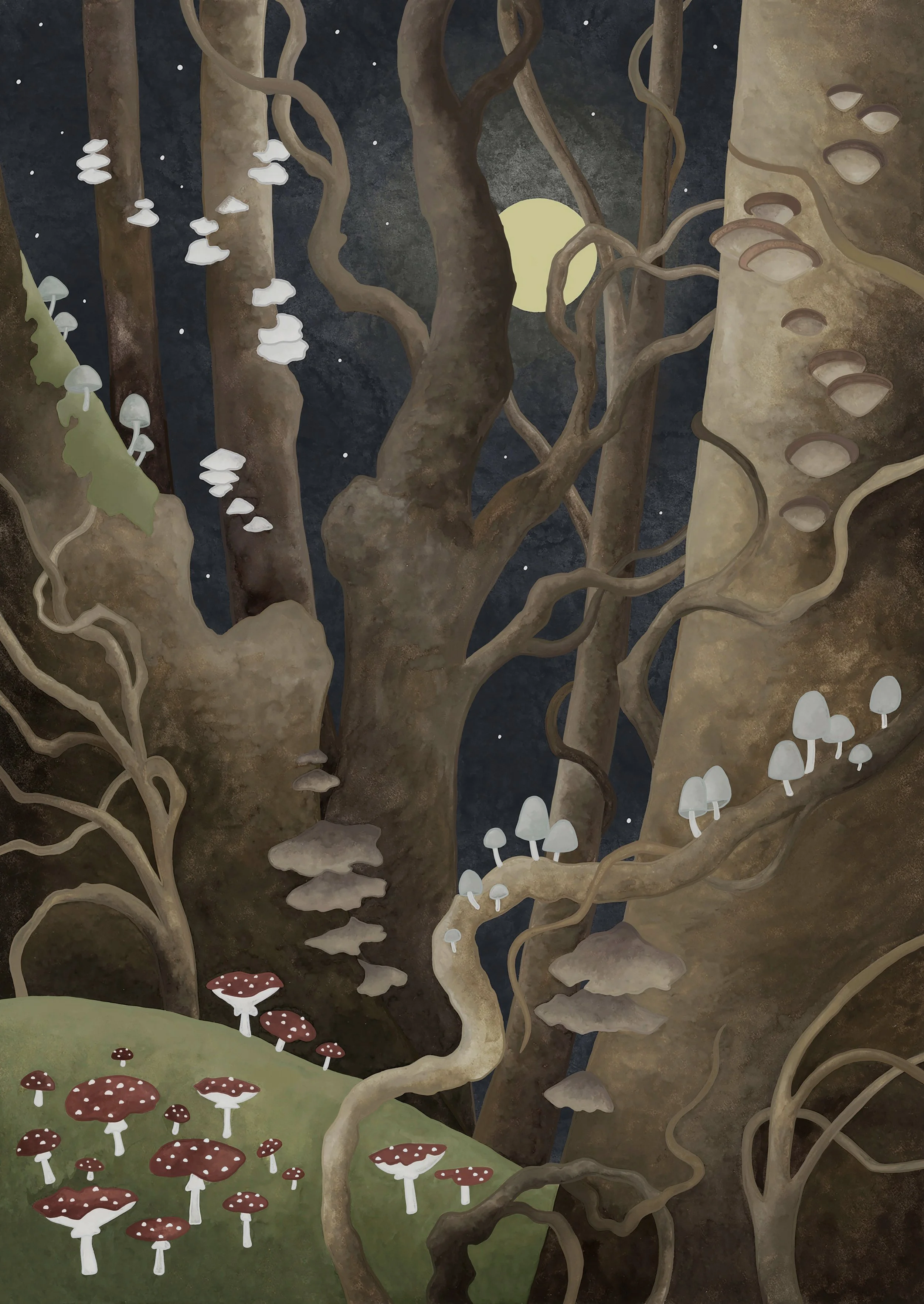 enchanted woods may 8.jpg