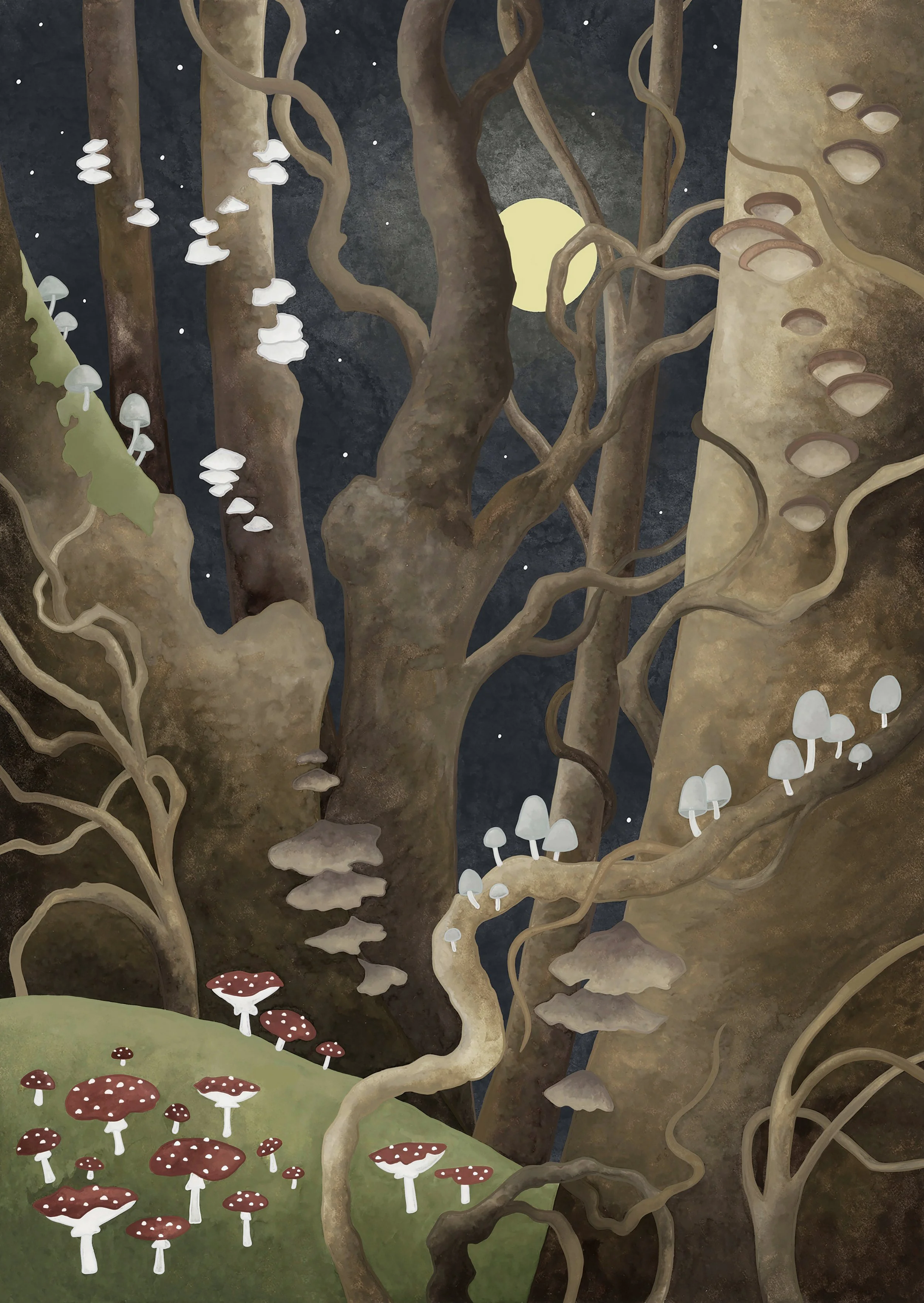 enchanted woods april 7.jpg