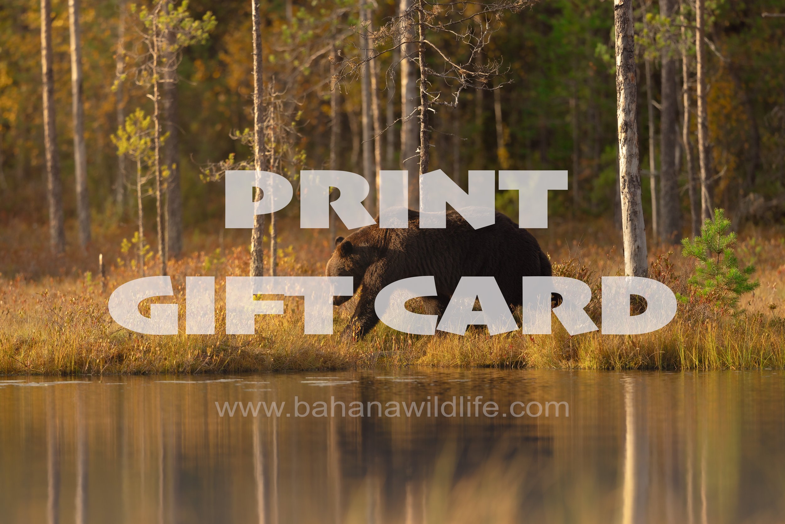 GIFTCARD.jpg