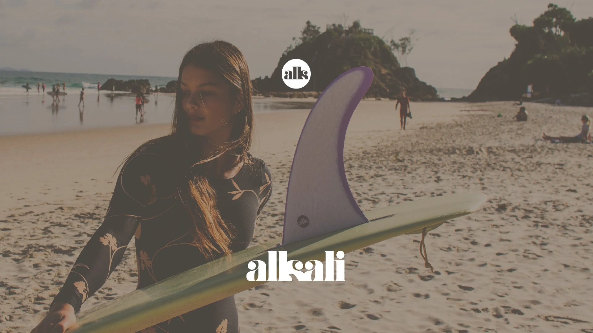 Alkali Catalog