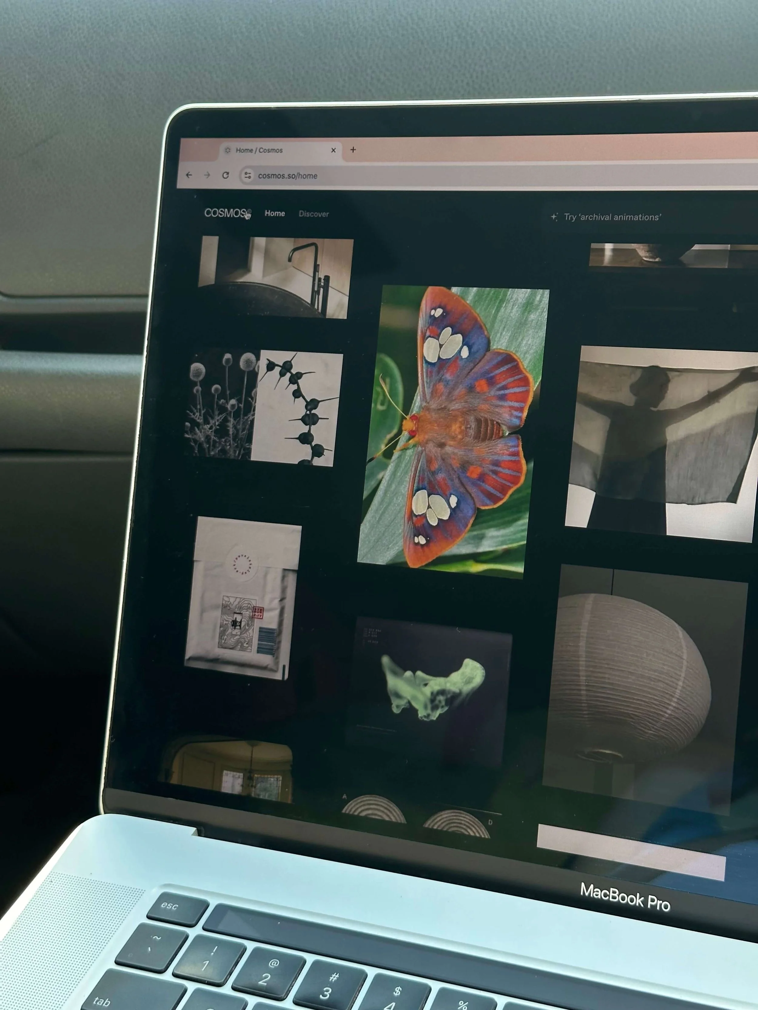 Recommended Reading_For Creativity_Cosmo Pinterest Alternative Search Engine_Small Business_Brand Design_Web Design_Squarespace and Shopify Development_01.jpg