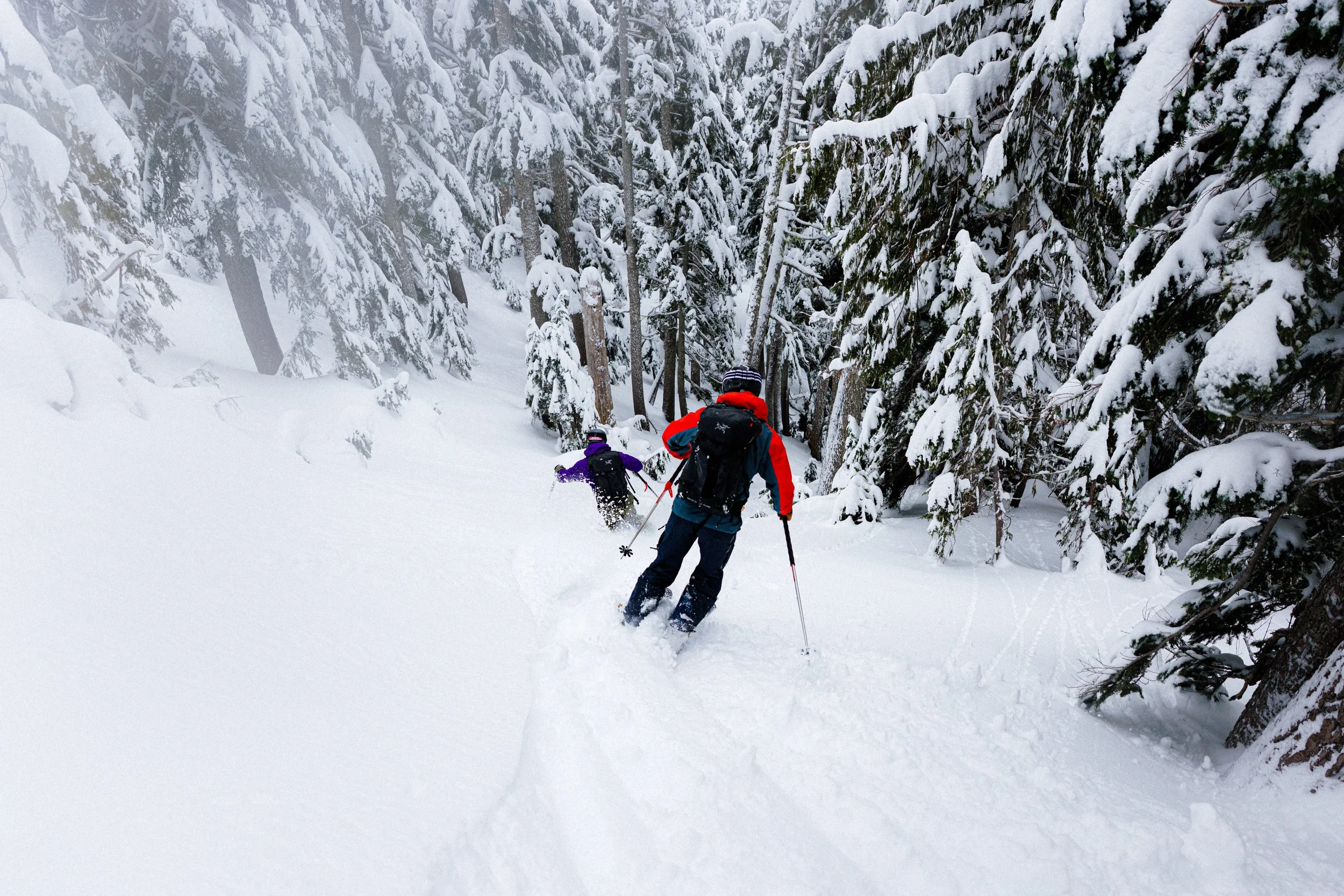2026-01-09, BACKCOUNTRY SKI, Sea to Sky Gondola, Squamish, BC-10.jpg