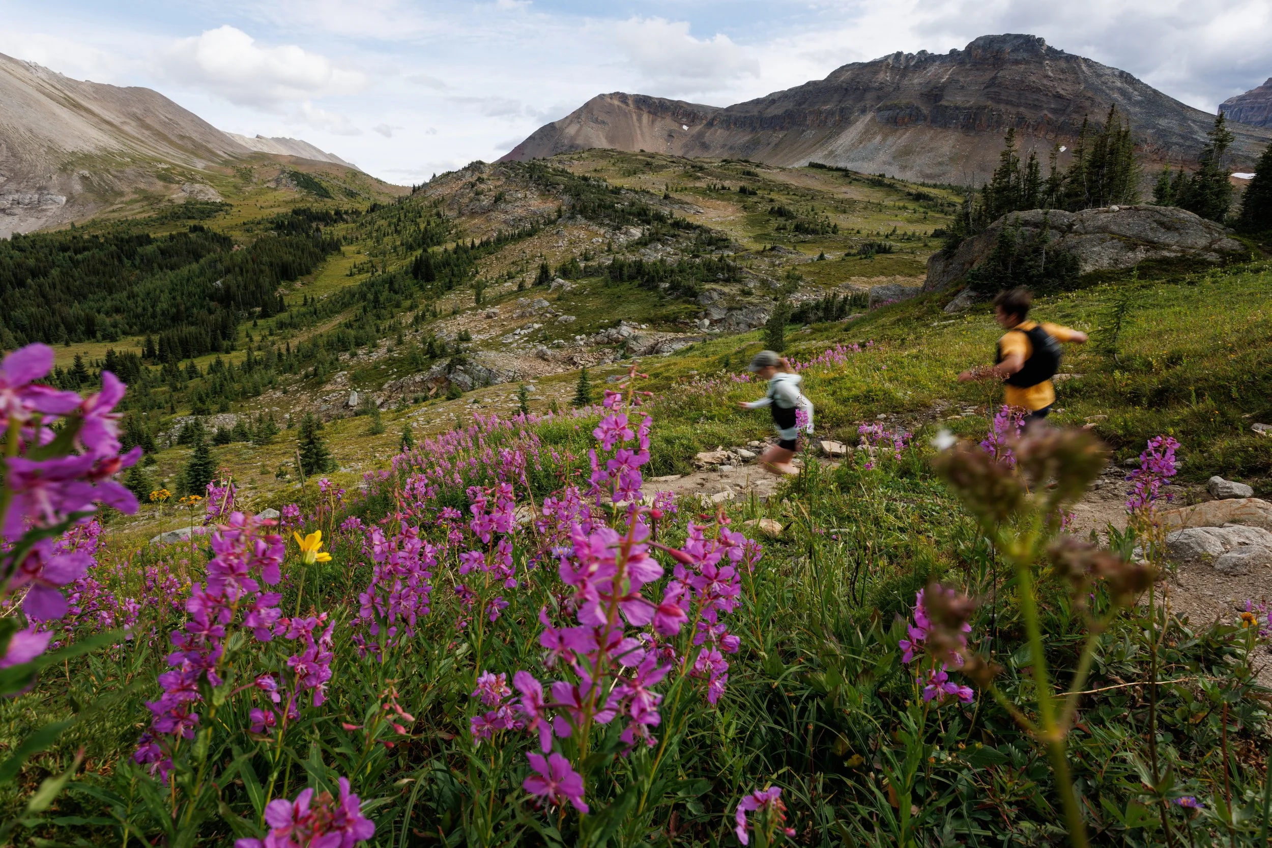 2025-08-14, TRAIL RUN, Skoki Loop-43.jpg