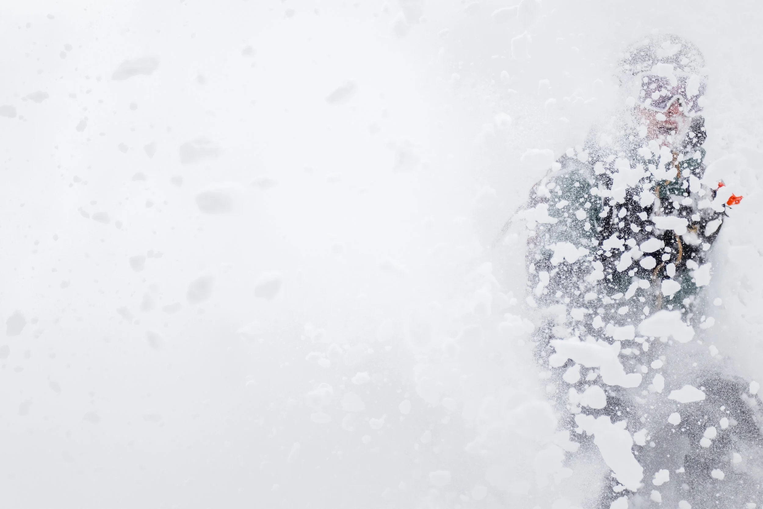 rogers pass feb 2023, british columbia-62.jpg