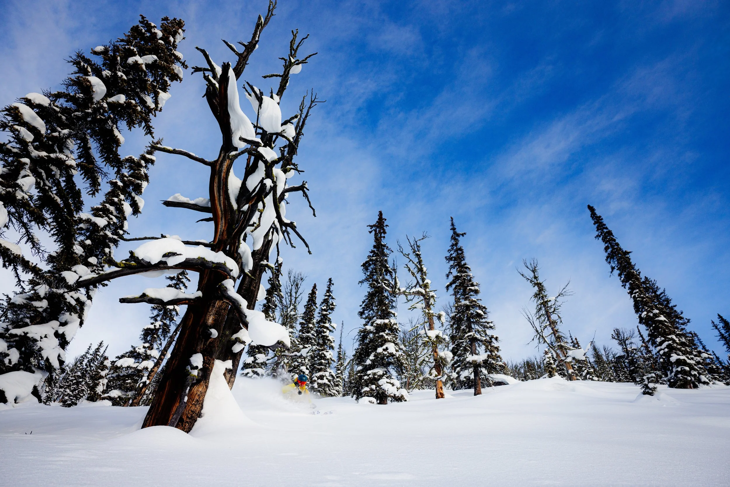 2025-12-31, SKI, Kicking Horse Slack, Golden, BC-16.jpg