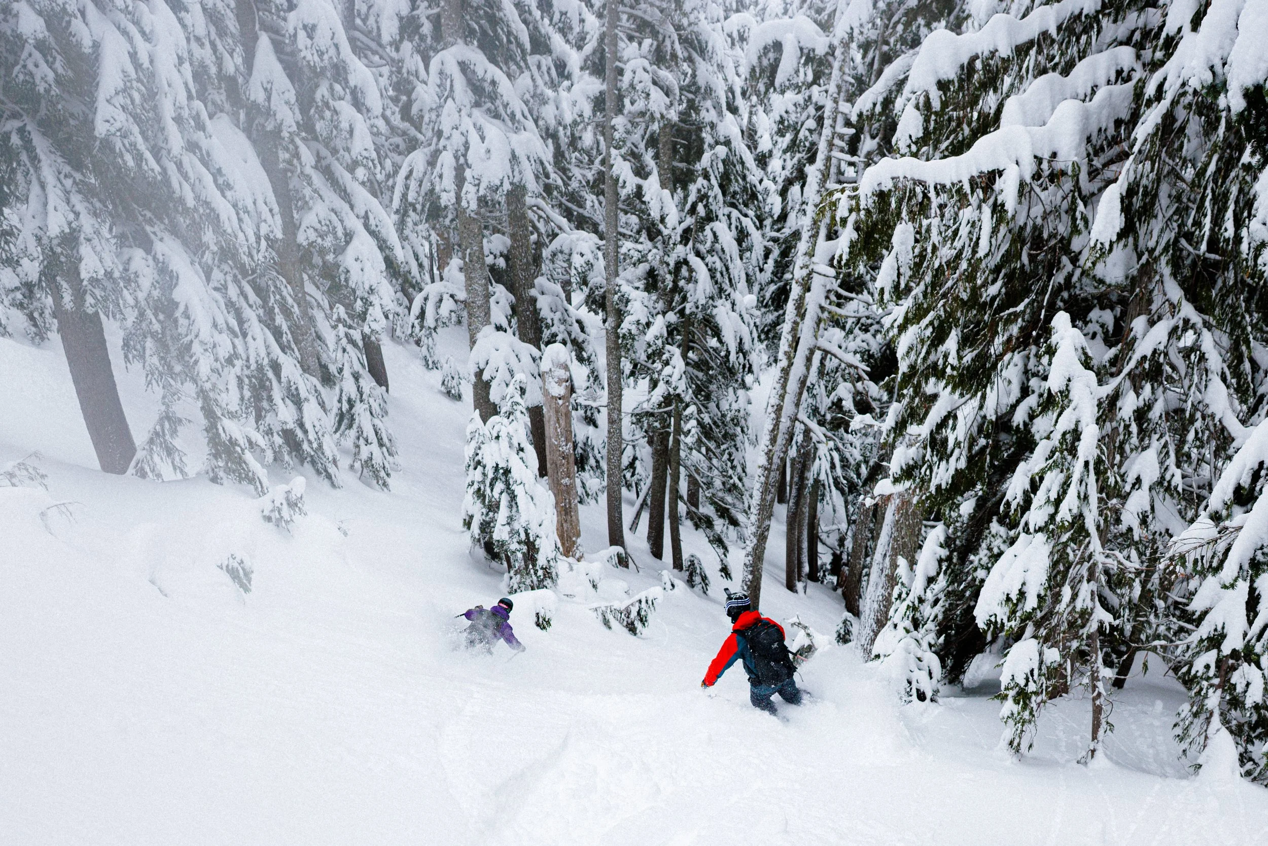 2026-01-09, BACKCOUNTRY SKI, Sea to Sky Gondola, Squamish, BC-17.jpg
