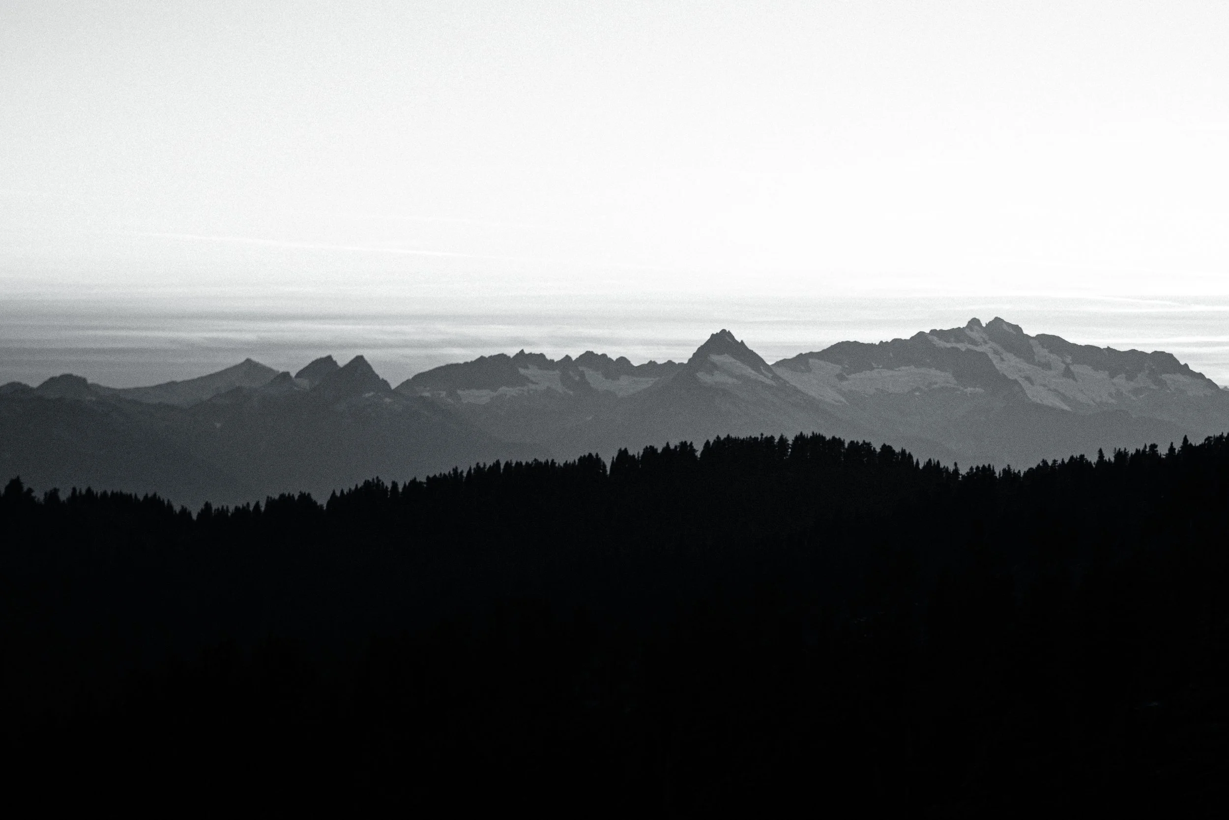 2025-09-10, TRAIL RUN, Diamondhead, Squamish, BC-96.jpg