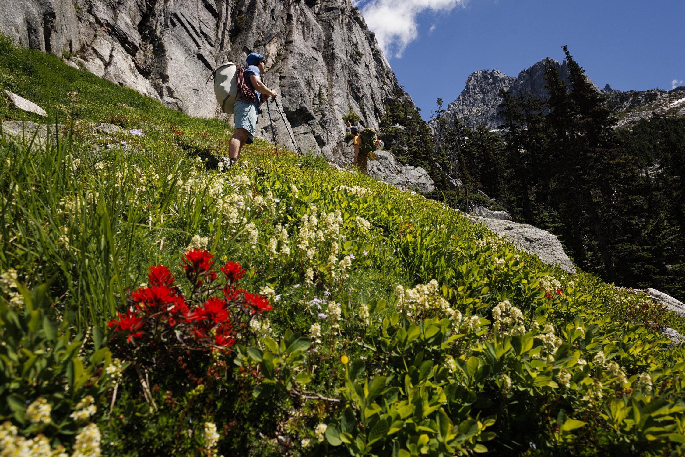 Wong_Evan_CLIMB_250712_Nesakwatch Spires Climbing-8.jpg