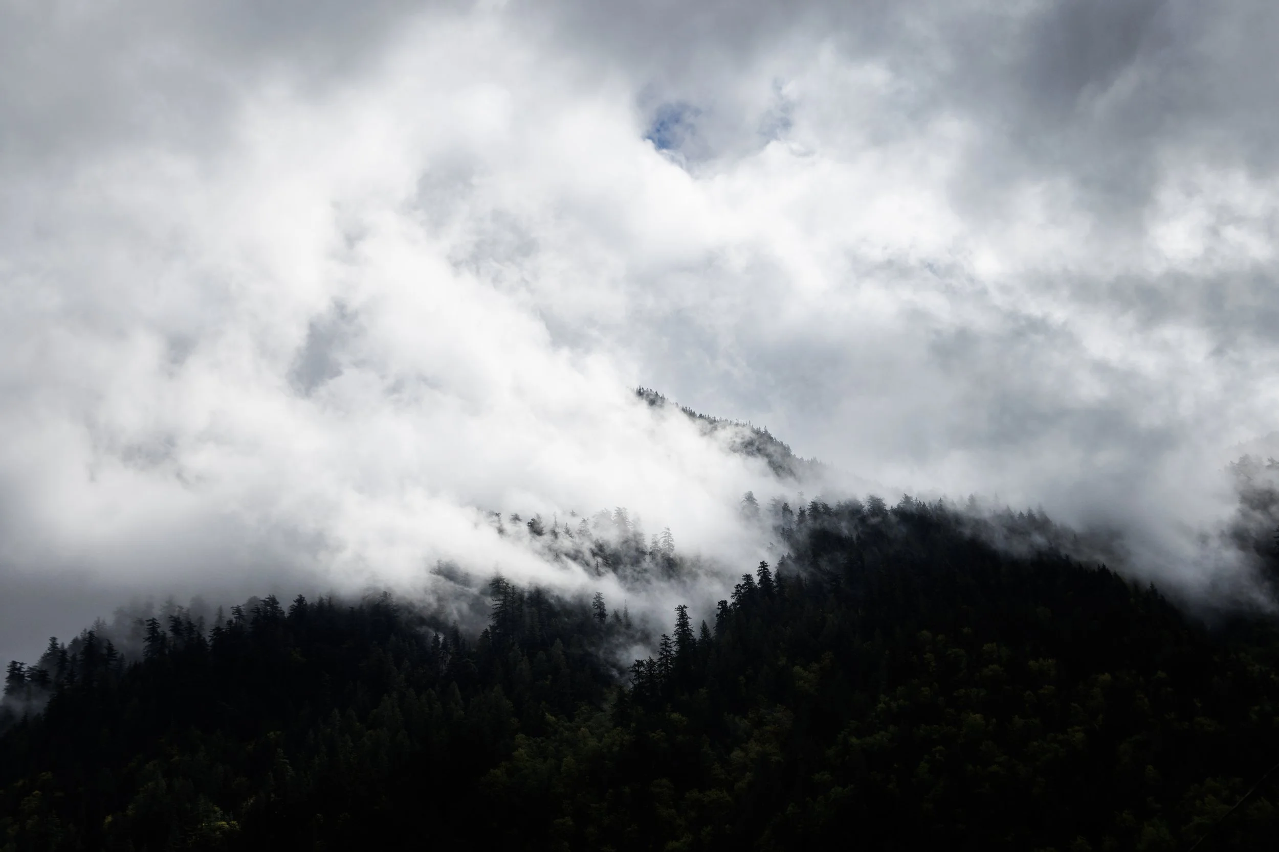 2025-04-29, Vancouver to Calgary-4.jpg