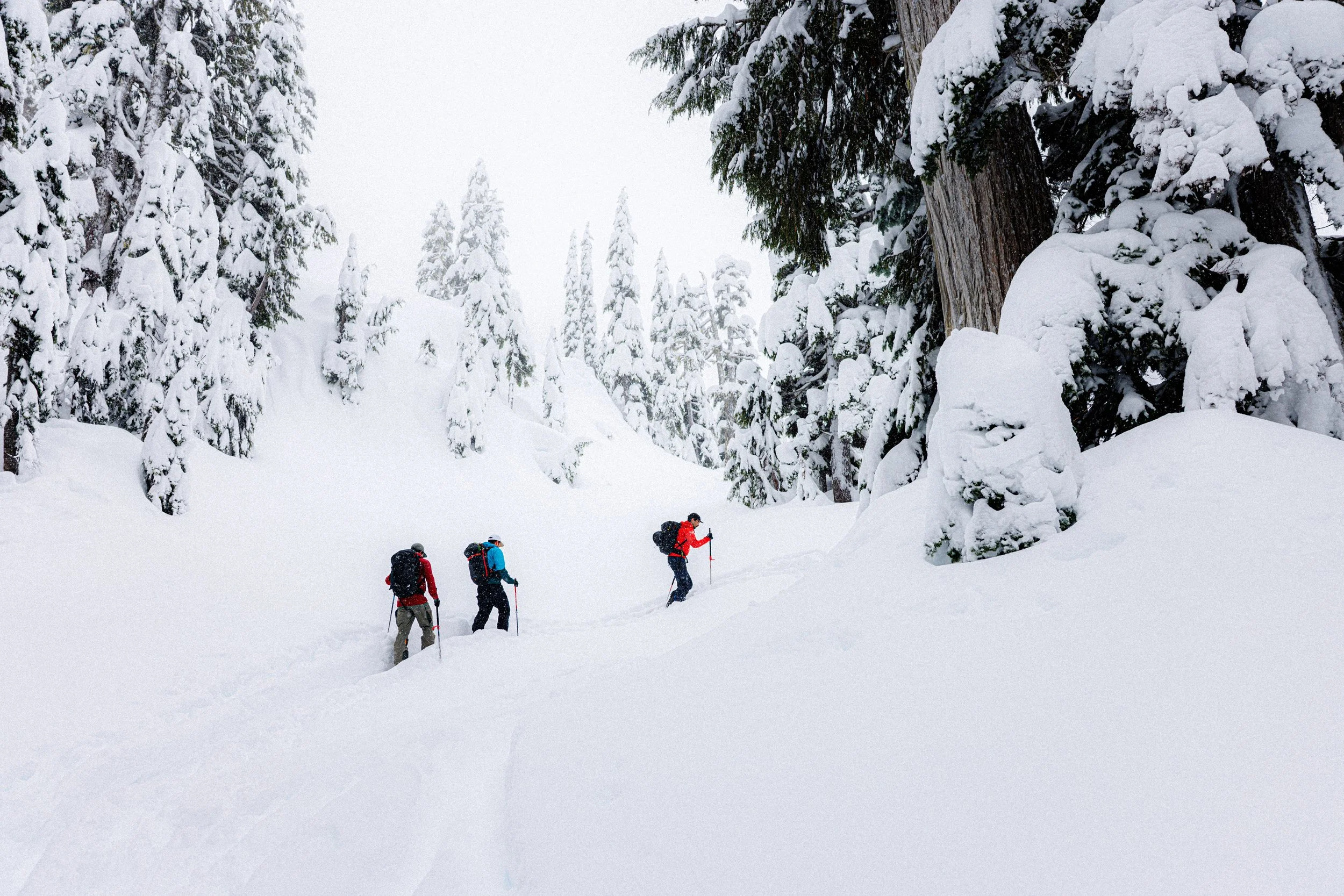2026-01-09, BACKCOUNTRY SKI, Sea to Sky Gondola, Squamish, BC-1.jpg