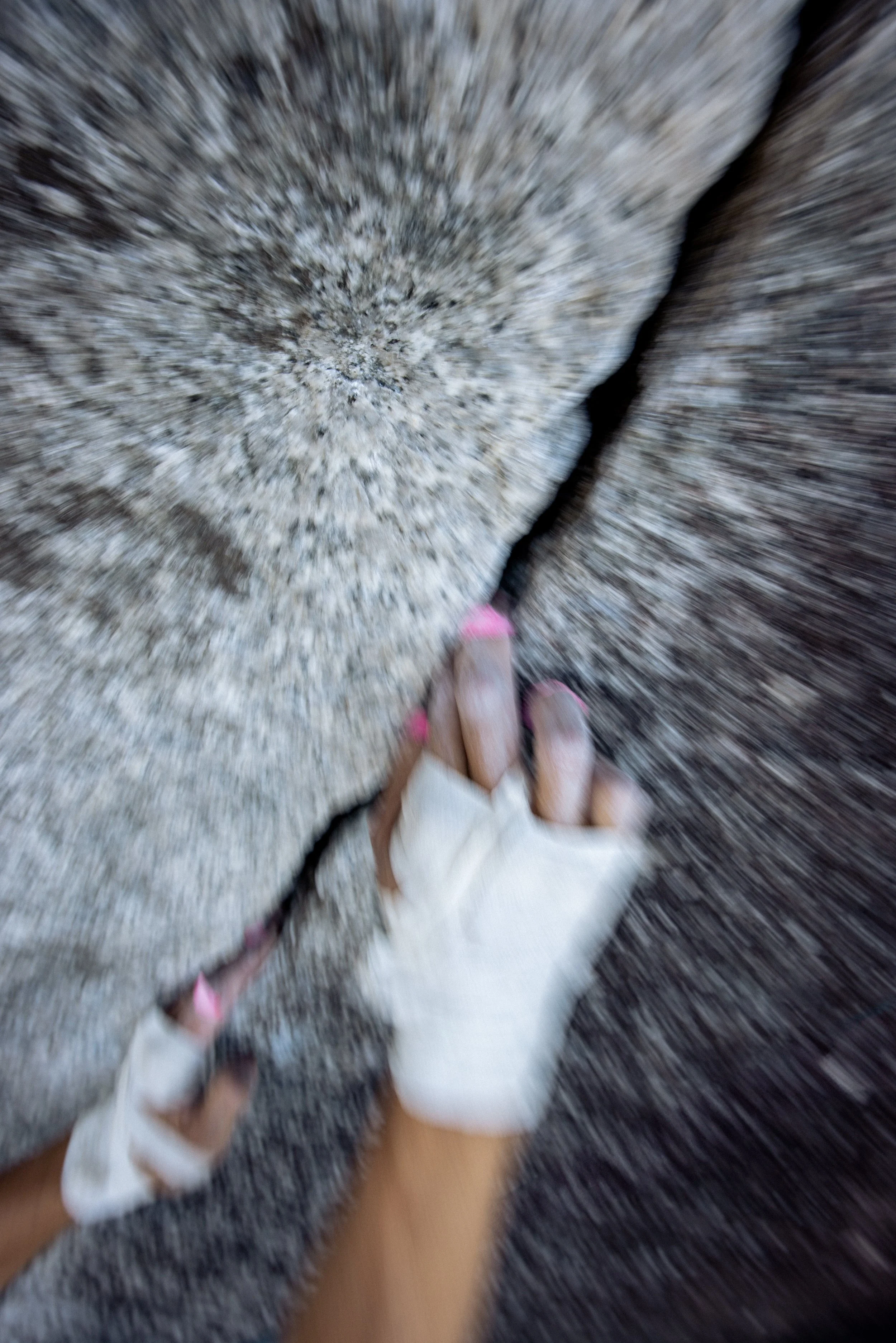 2025-08-24, TRAD CLIMB, Arcteryx Academy Trad Tour-1.jpg