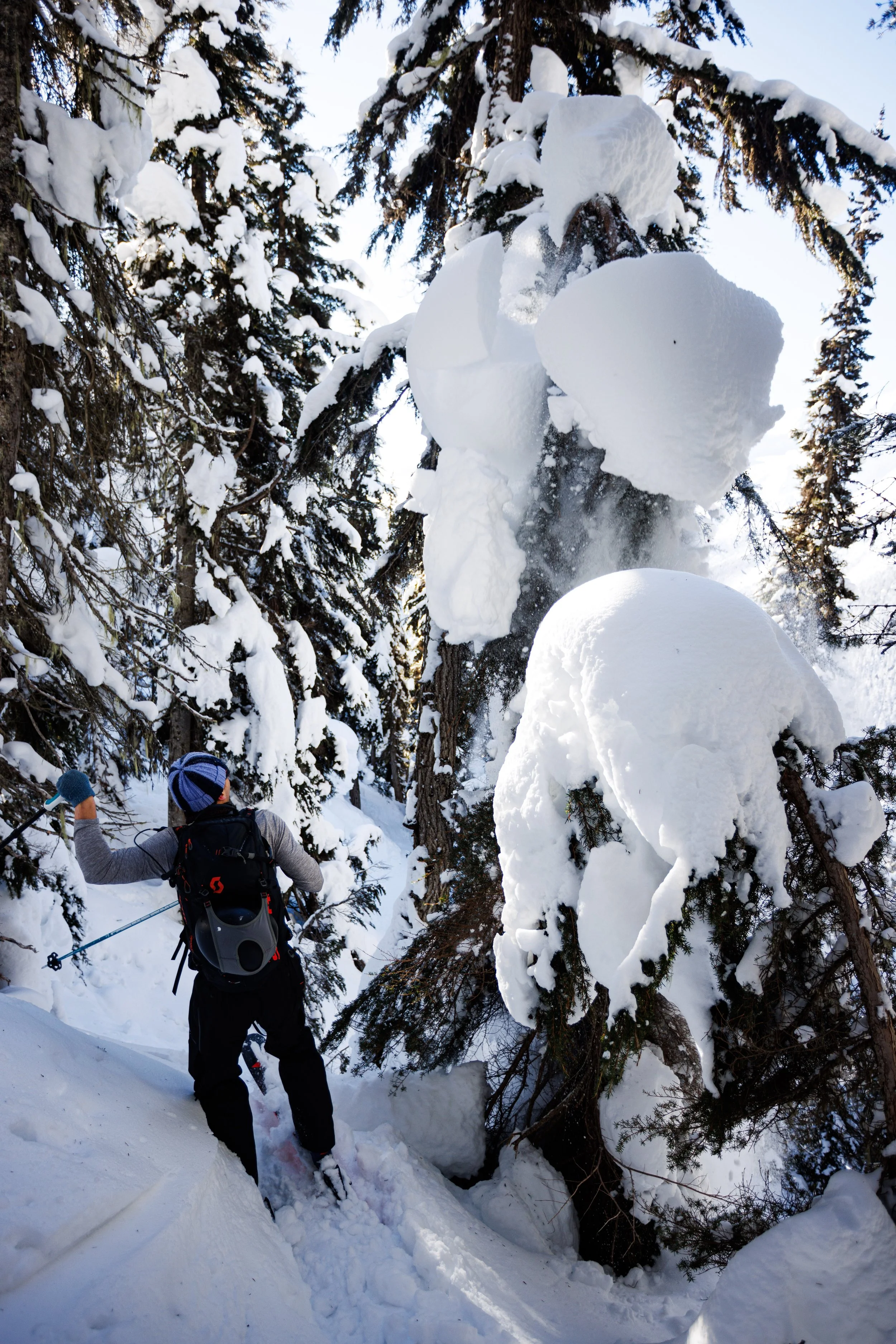 2025-02-18, SKI, Avalanche Crest, Rogers Pass, BC-13.jpg