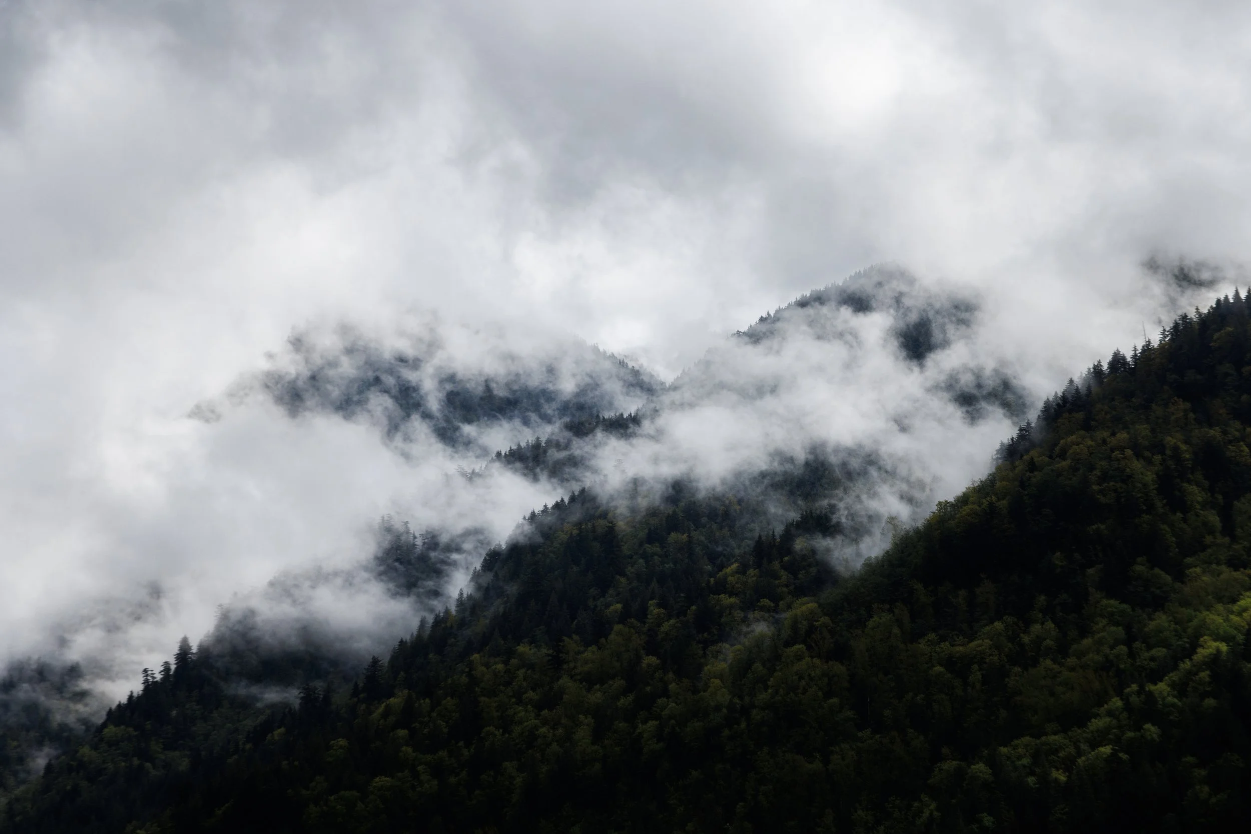 2025-04-29, Vancouver to Calgary-2.jpg