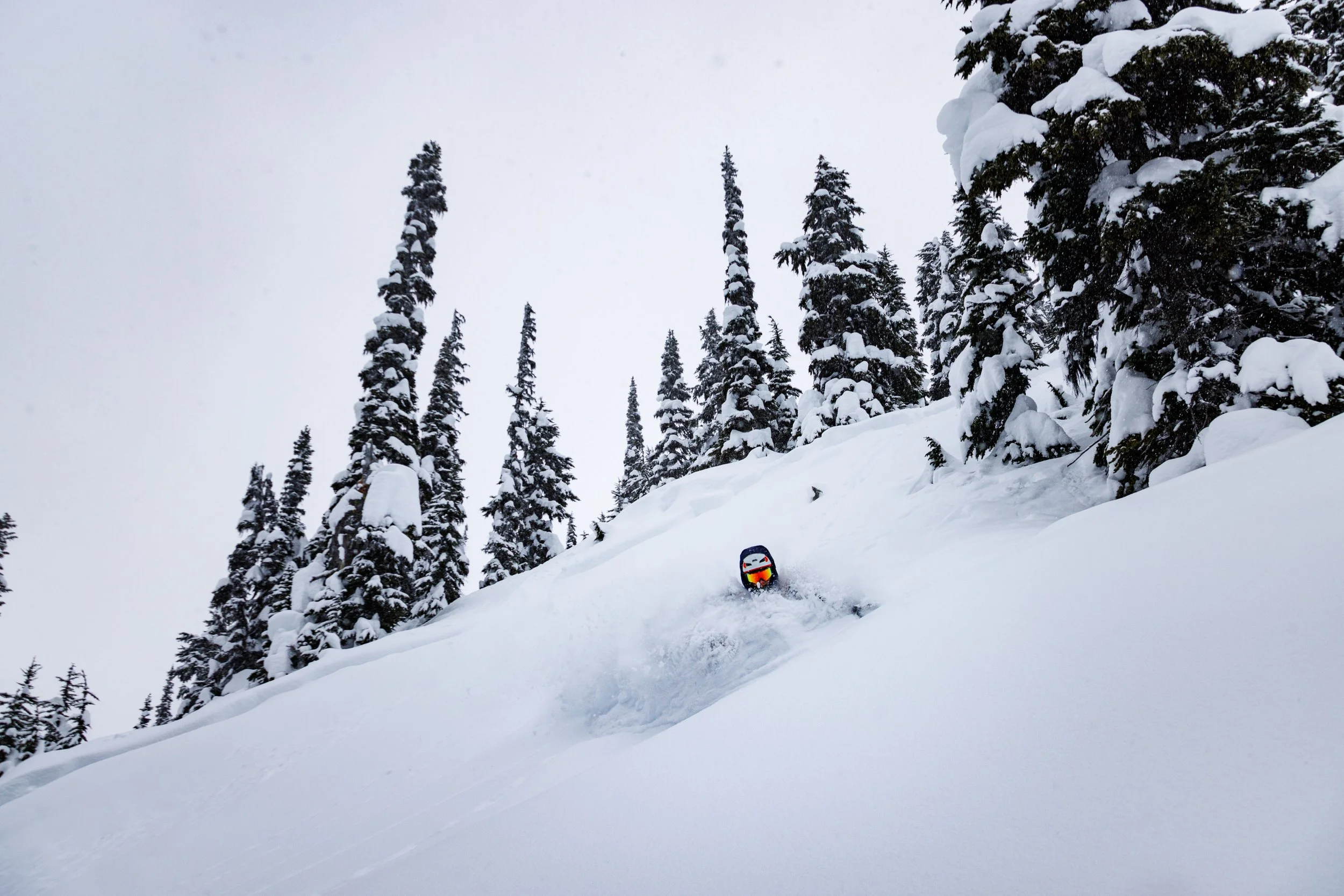 2025-03-15, SKI, Mount Chief Pascall Glades, Pemberton, BC-13.jpg