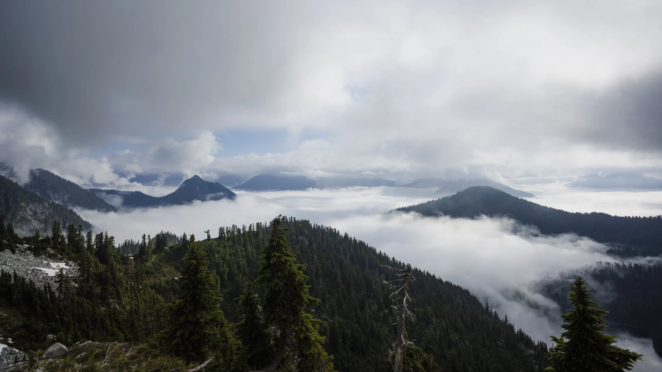 Wong_Evan_RUN_250719_Howe Sound Crest Trail-45.jpg