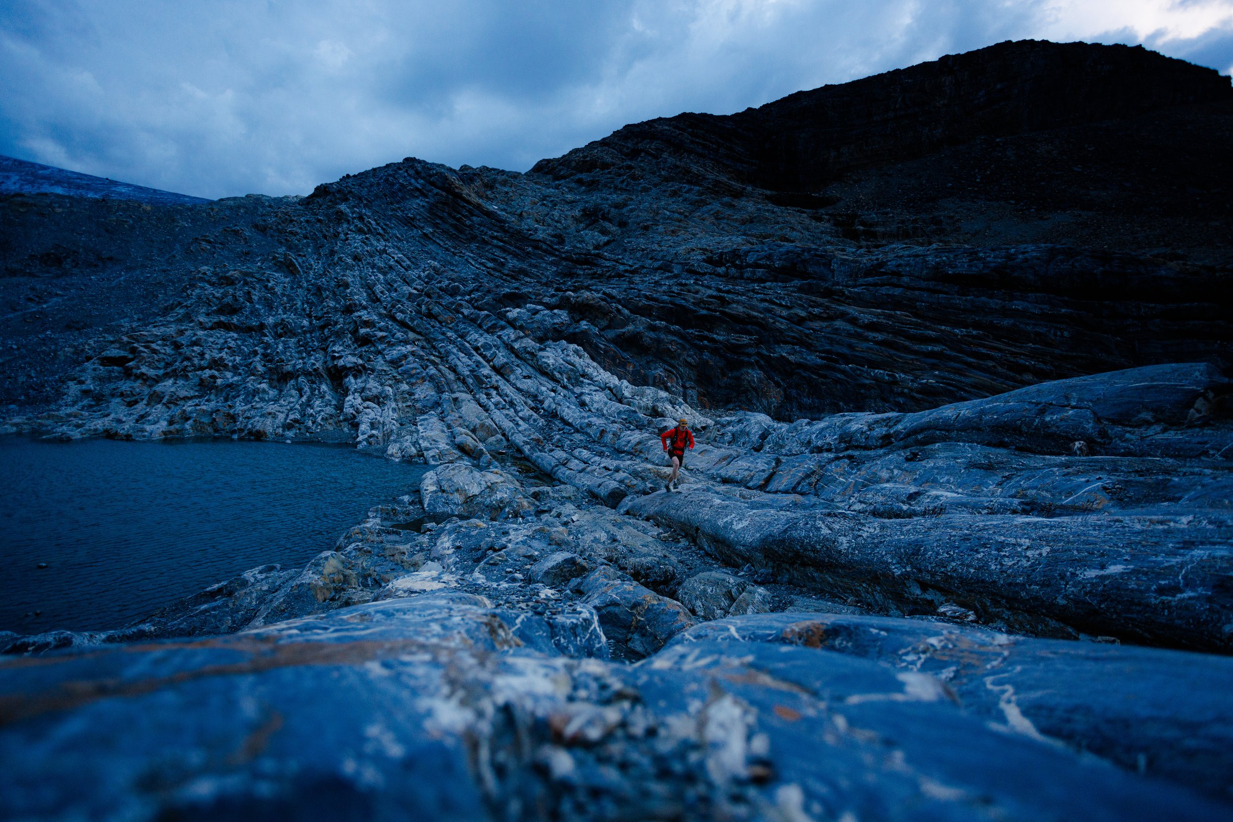 onion website small-1.jpg