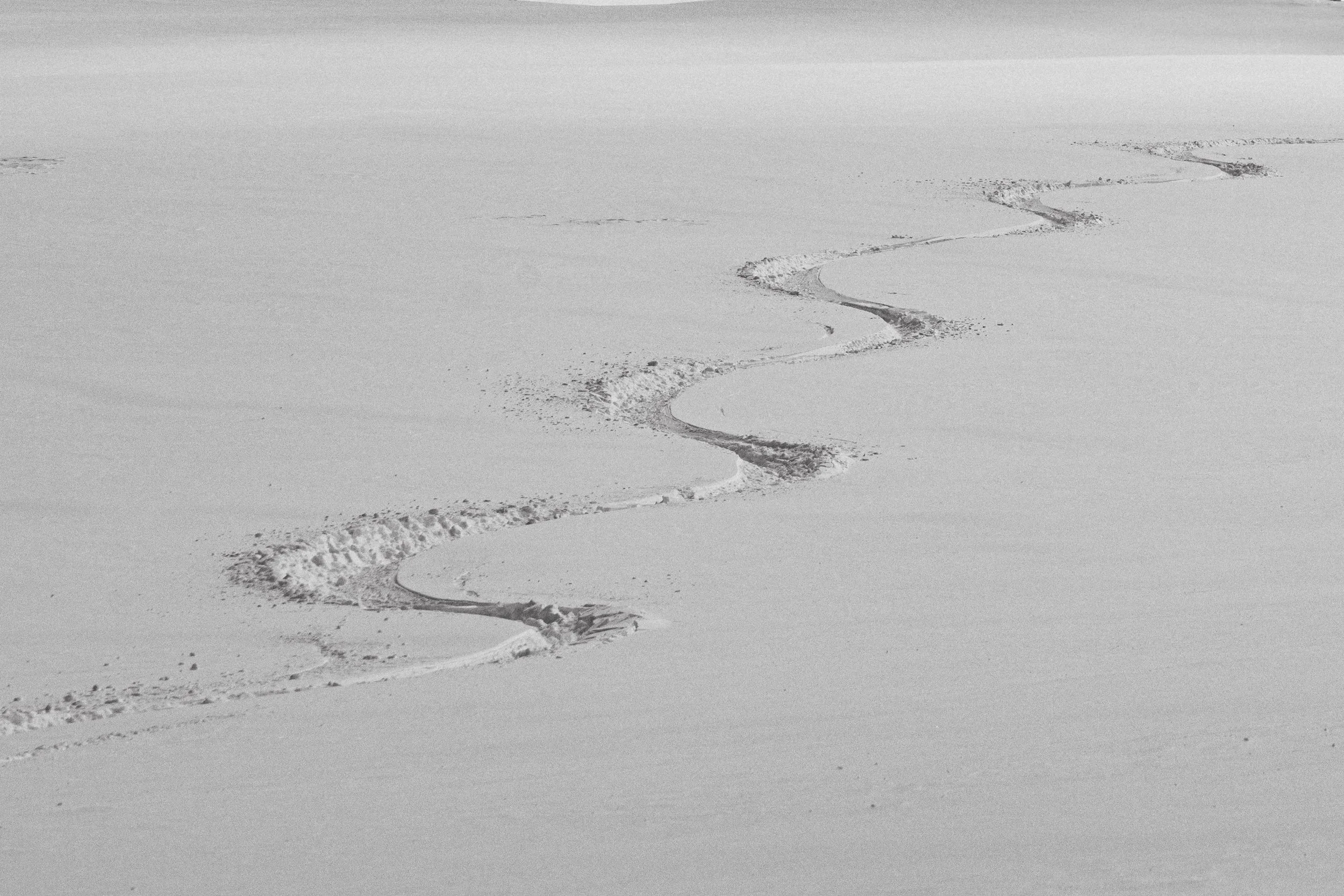 peyto to yoho website small-8.jpg