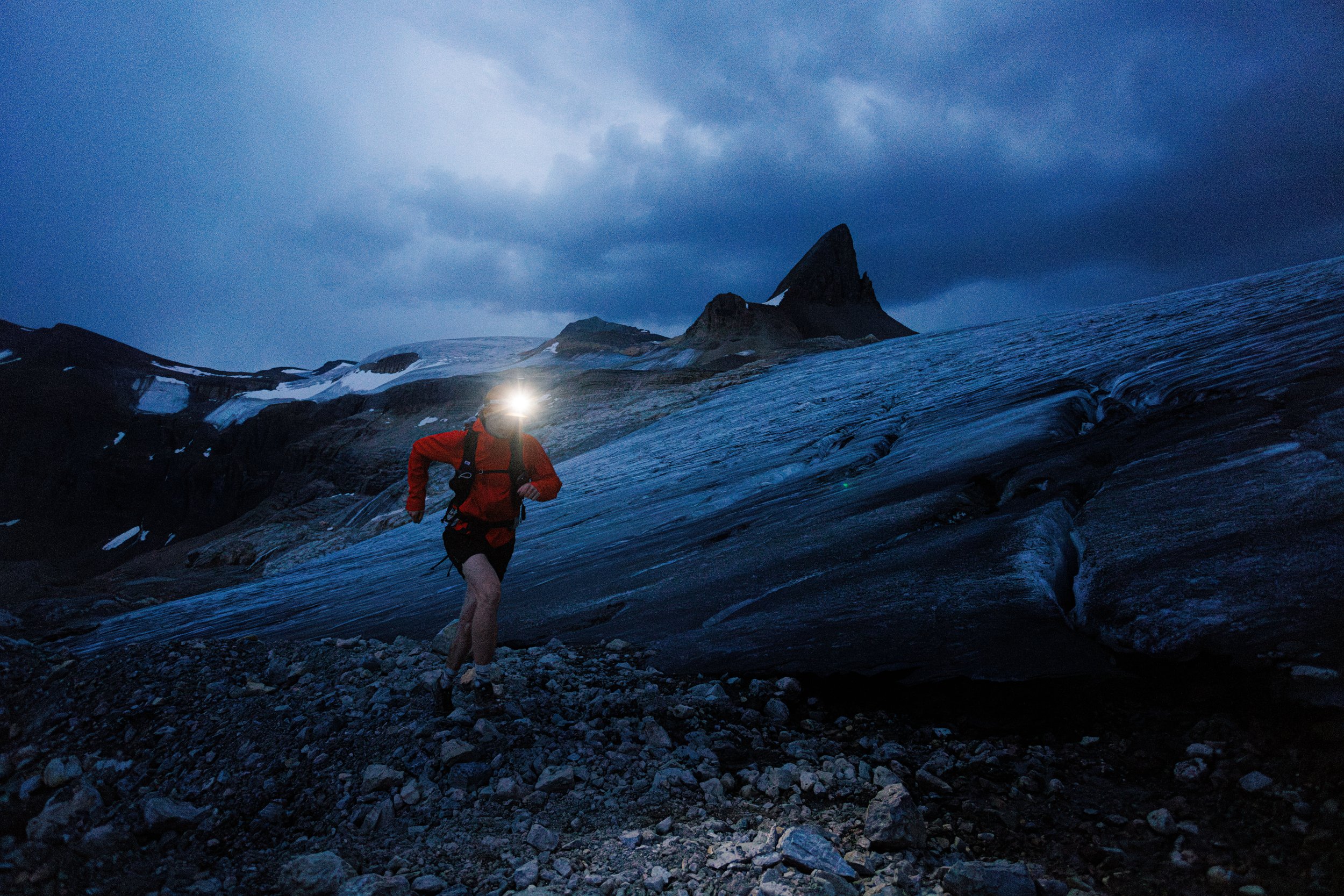 onion website small-4.jpg