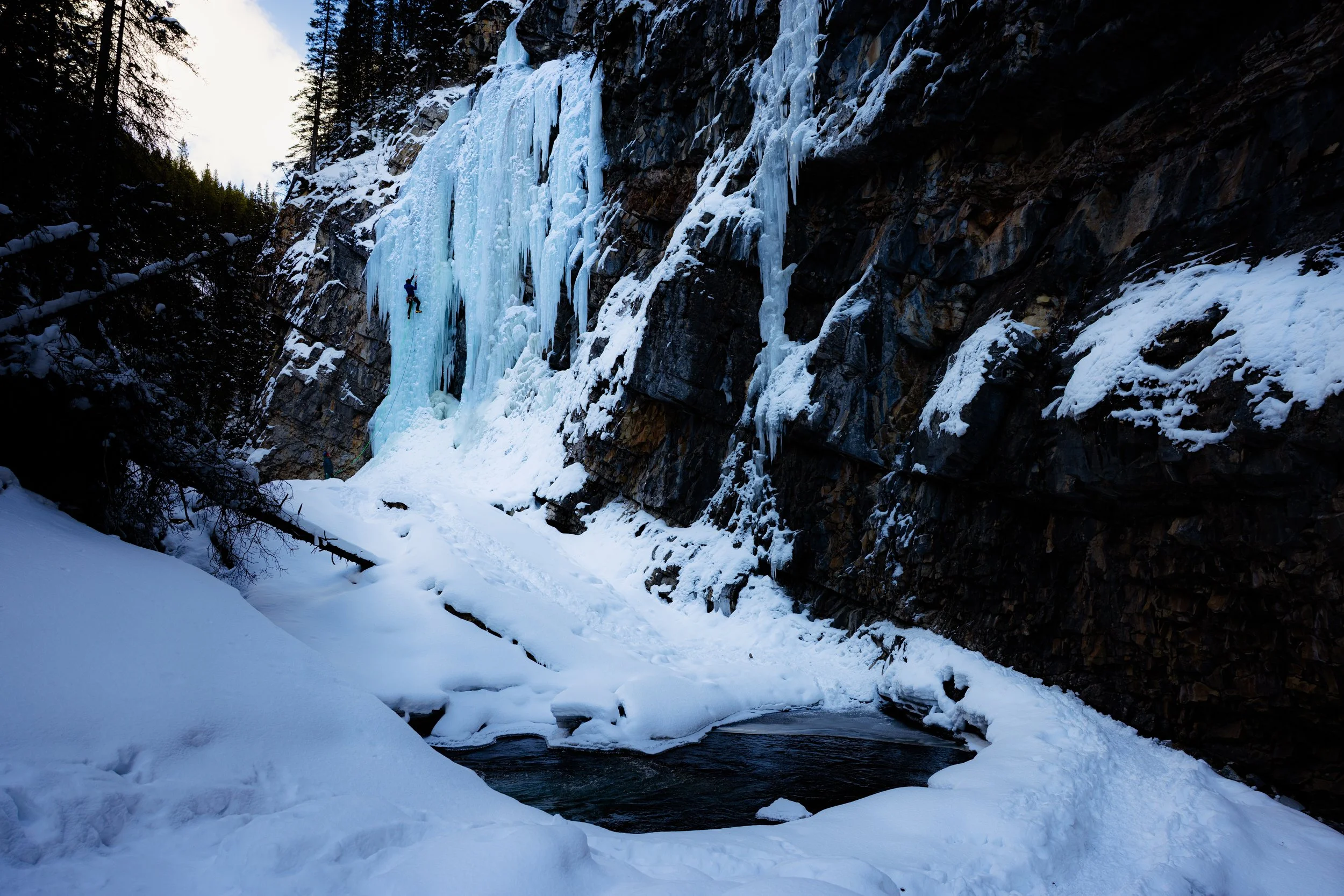 webste small Evan Thomas Creek-7.jpg