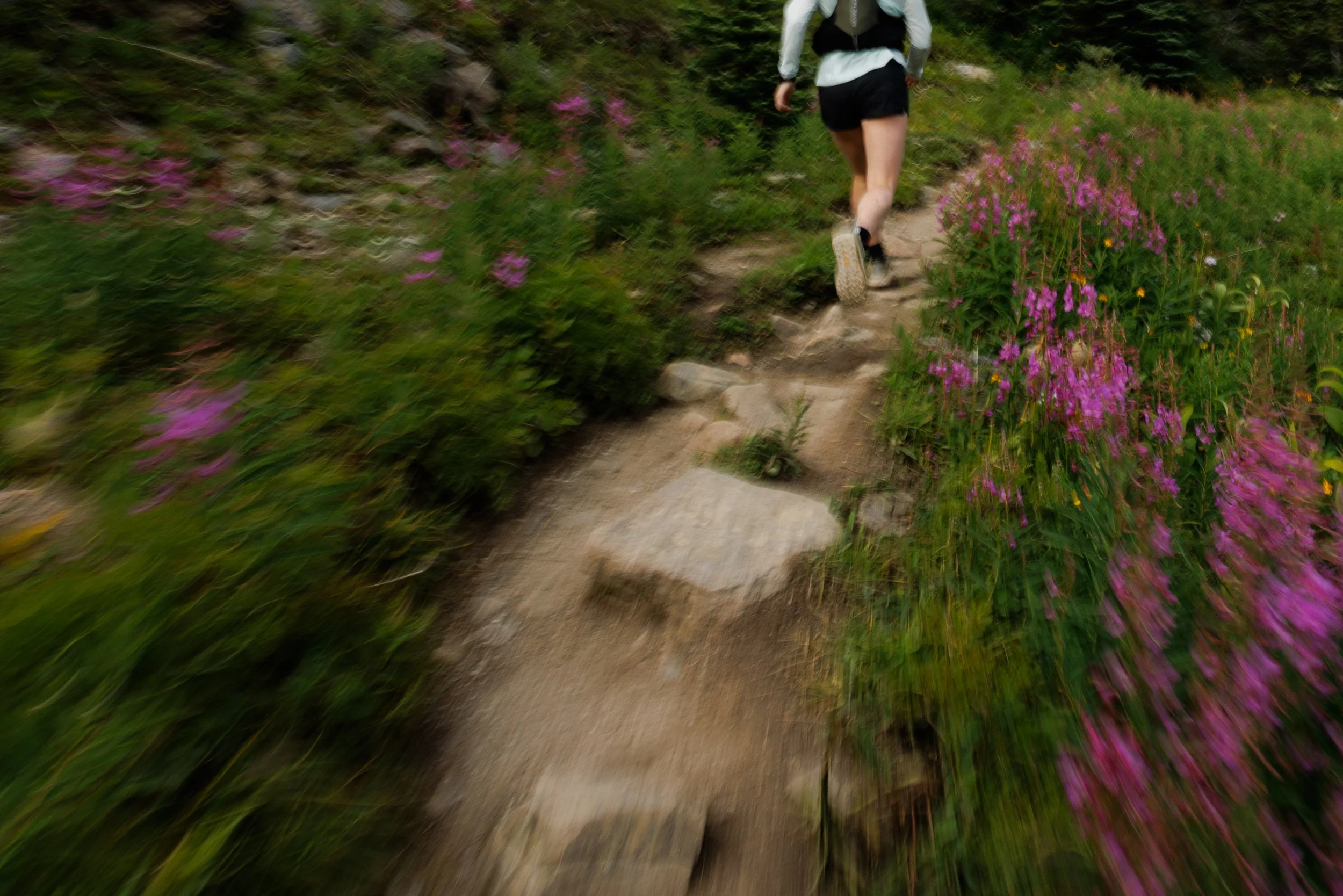 2025-08-14, TRAIL RUN, Skoki Loop-51.jpg
