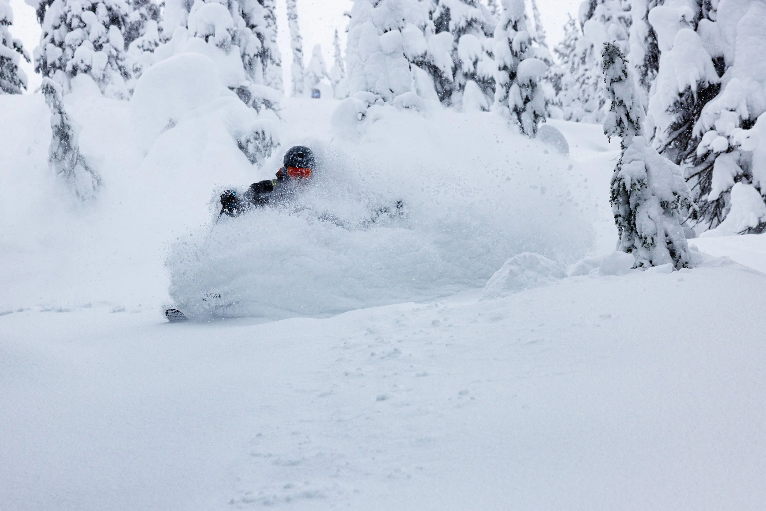 anna cody jodi trip quick-15.jpg