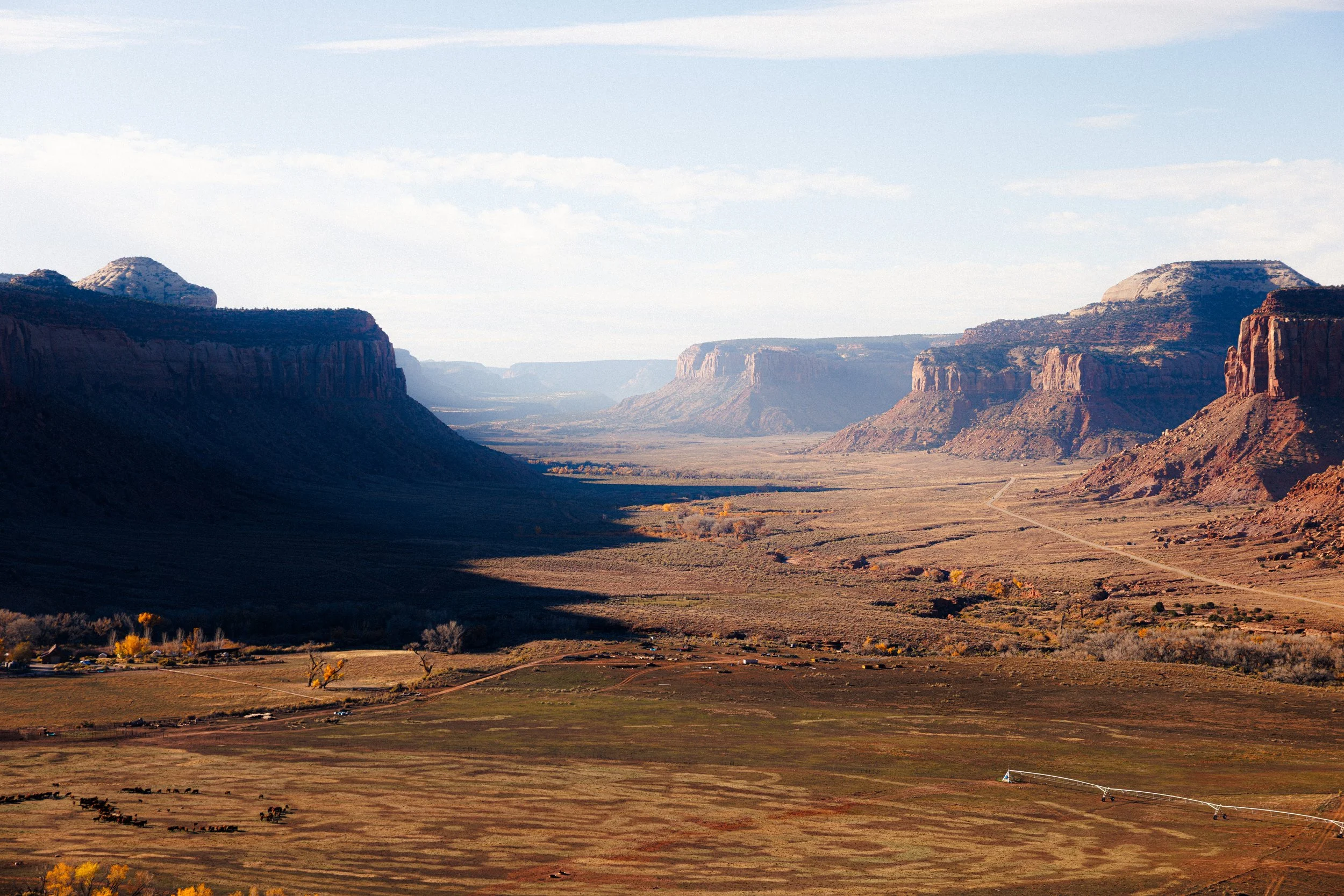 creek website small-1.jpg