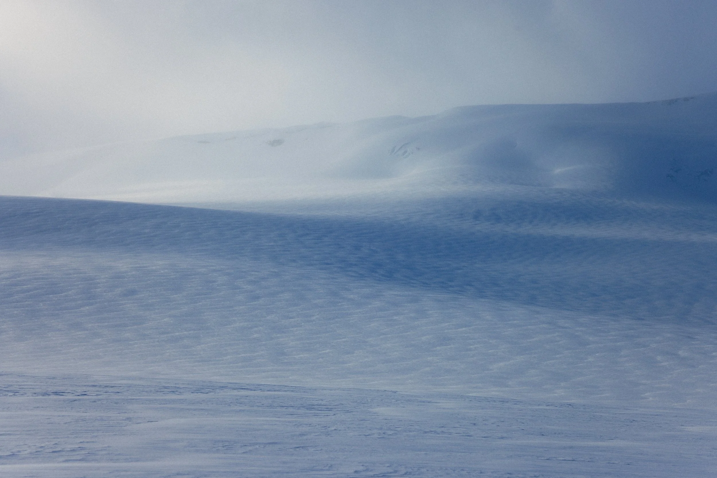 peyto to yoho website small-15.jpg