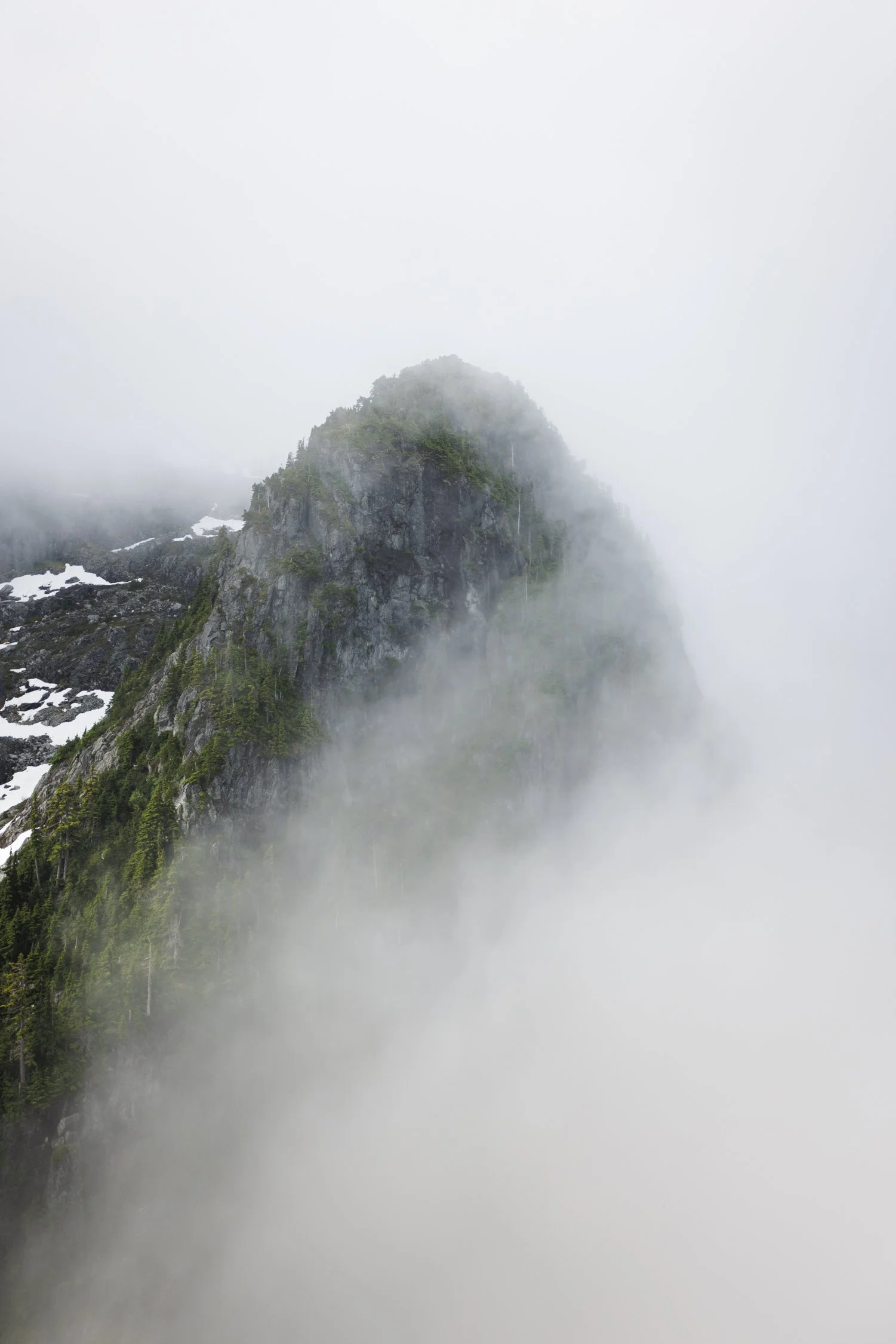 Wong_Evan_RUN_250719_Howe Sound Crest Trail-41.jpg