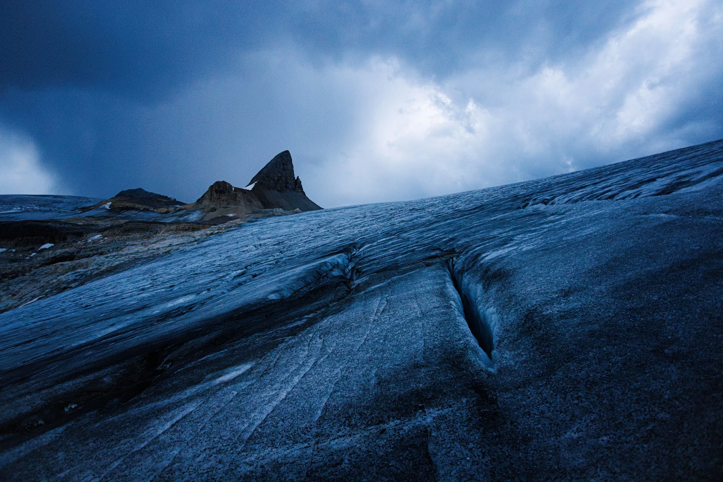 onion website small-6.jpg