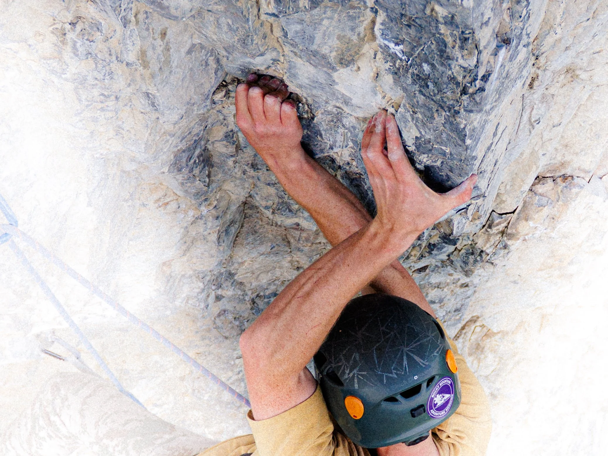 yamophilia website small-1.jpg