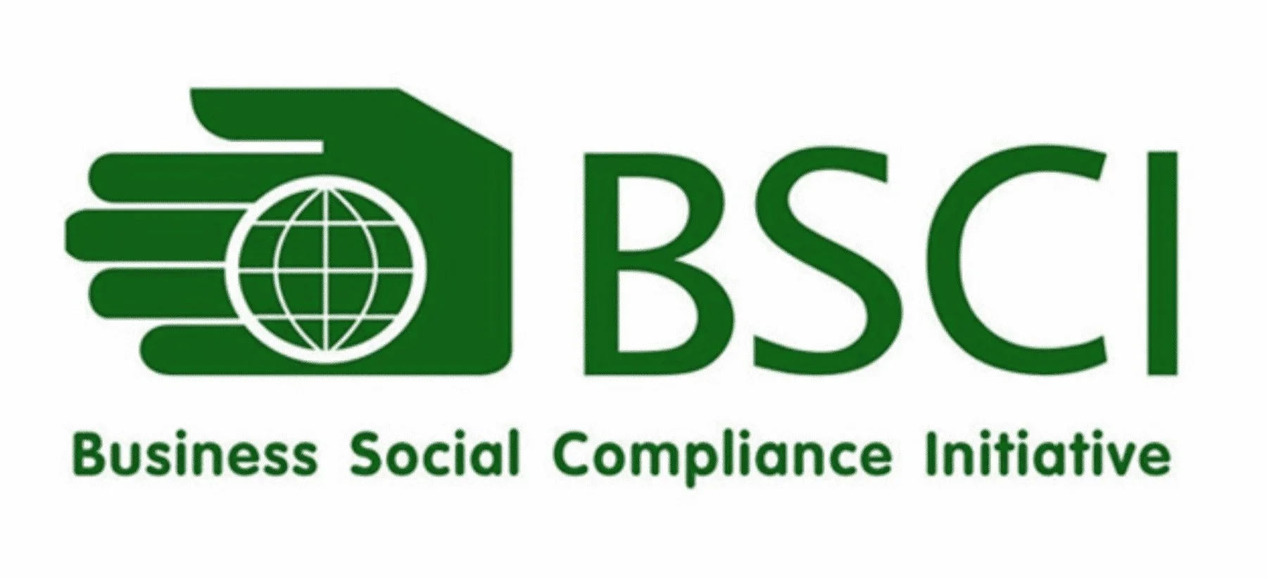 BSCI-Audit-1.jpg